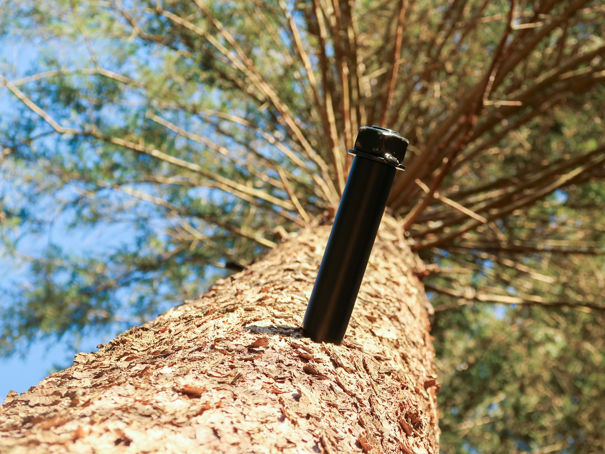 GTS Friend – Vite albero fino a 1.700 kg