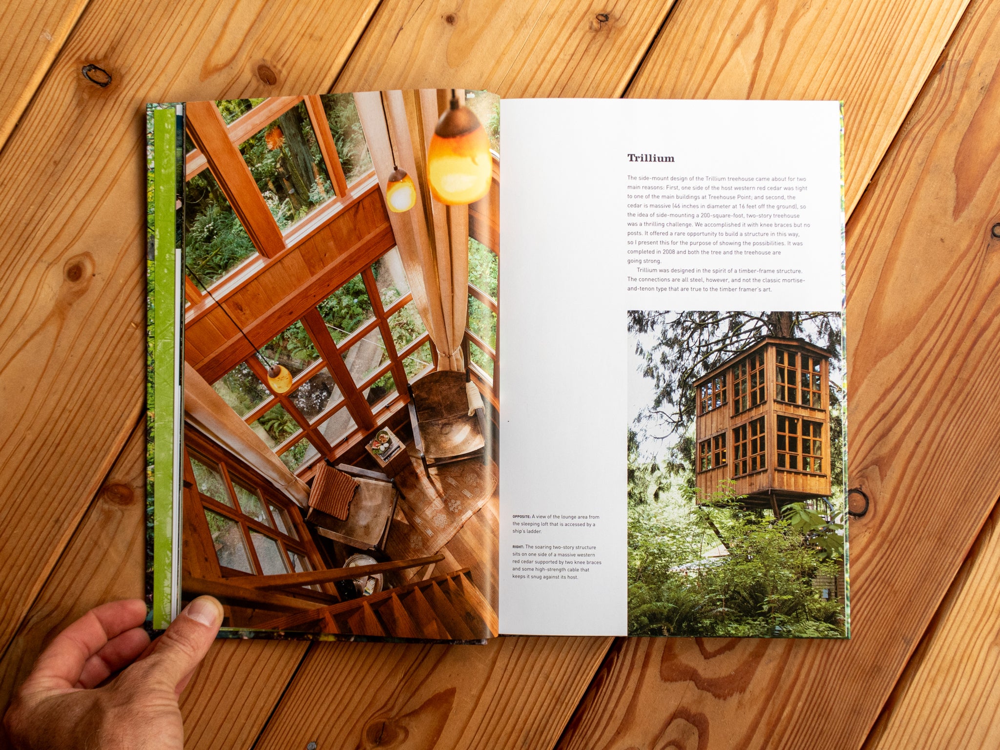 Baumhaus-Buch "Pete Nelson – Be in a Treehouse"