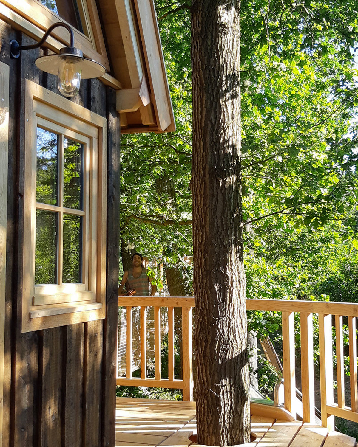 Baumhaus bauen lassen – Profi-Baumbaron Zimmermann, Zimmer mit Aussicht Plattform gerader Baum Hängebrücke