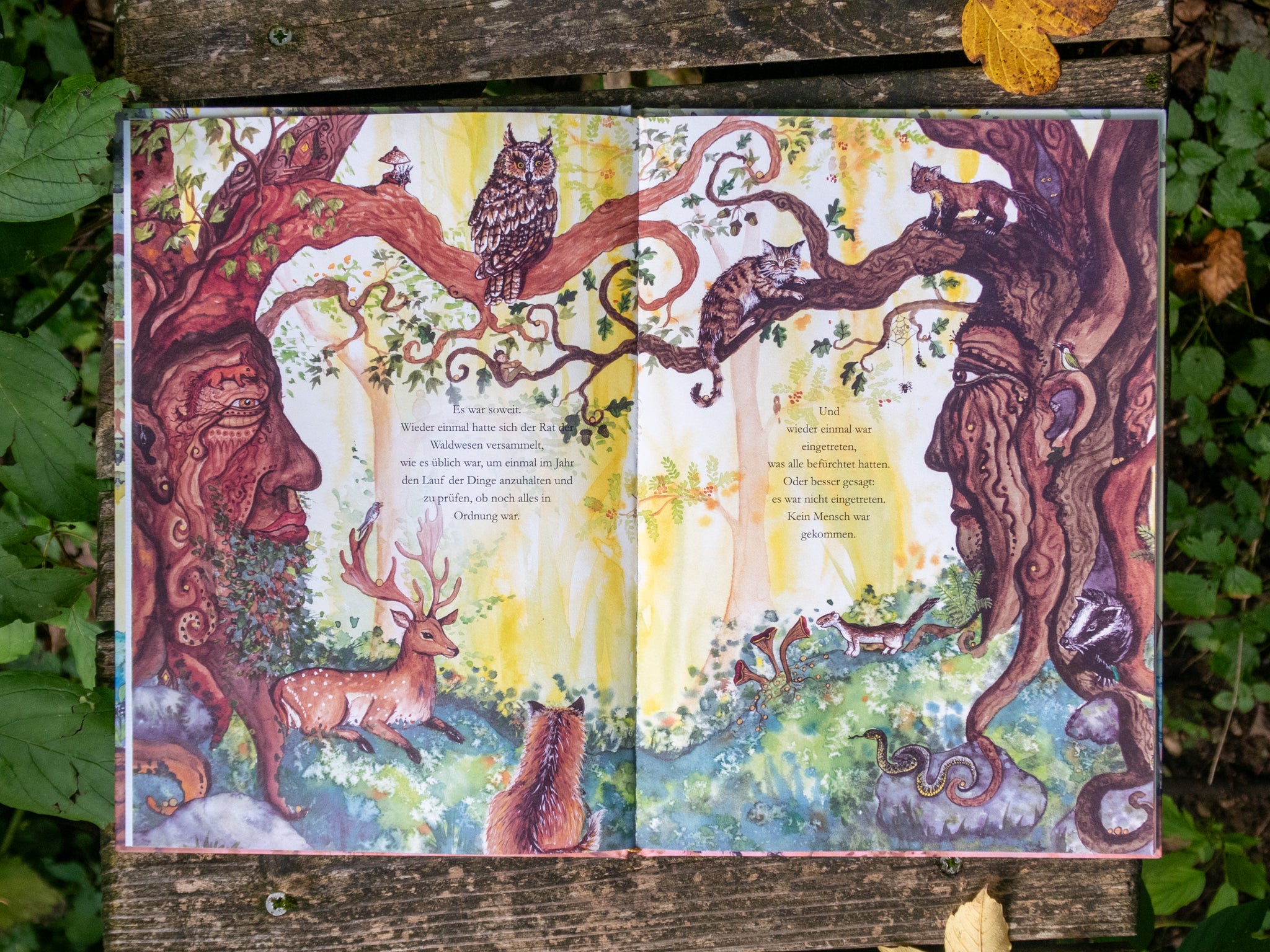 Libro illustrato in tedesco “Das Flüstern des Waldes”