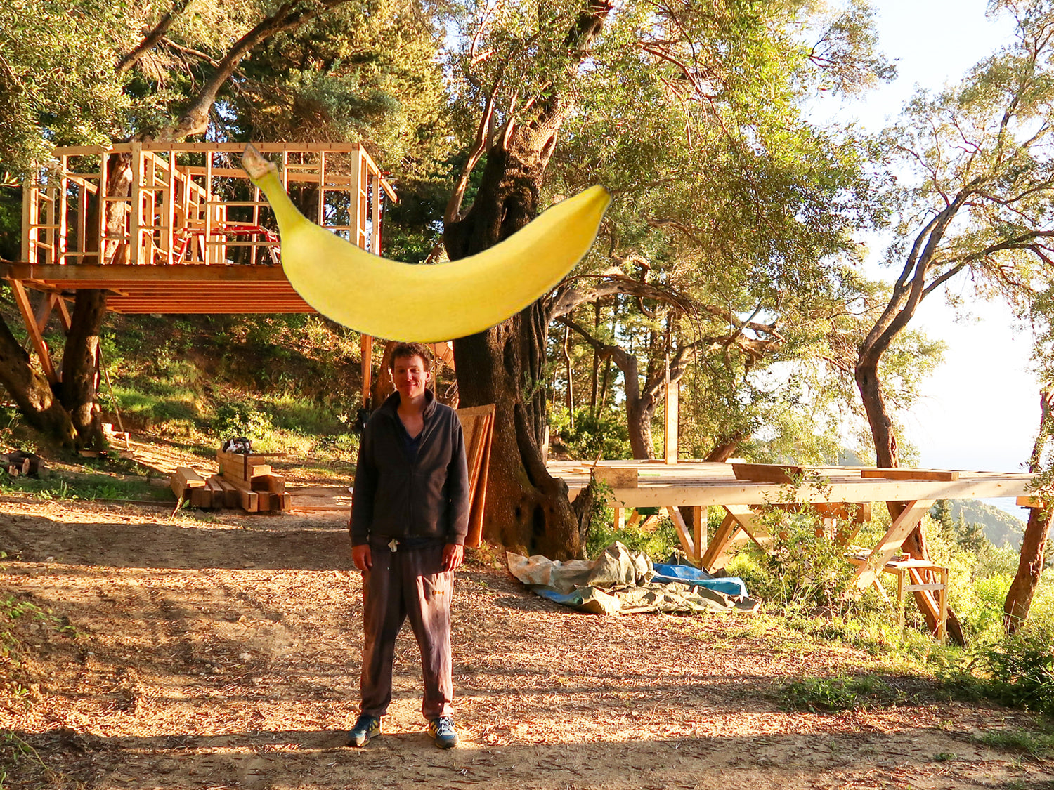 Baumhaus bauen Know How schräger Olivenbaum Anleitung How To Know How Griechenland Charles Baumhausbauer schlaue Lösung Bananapower