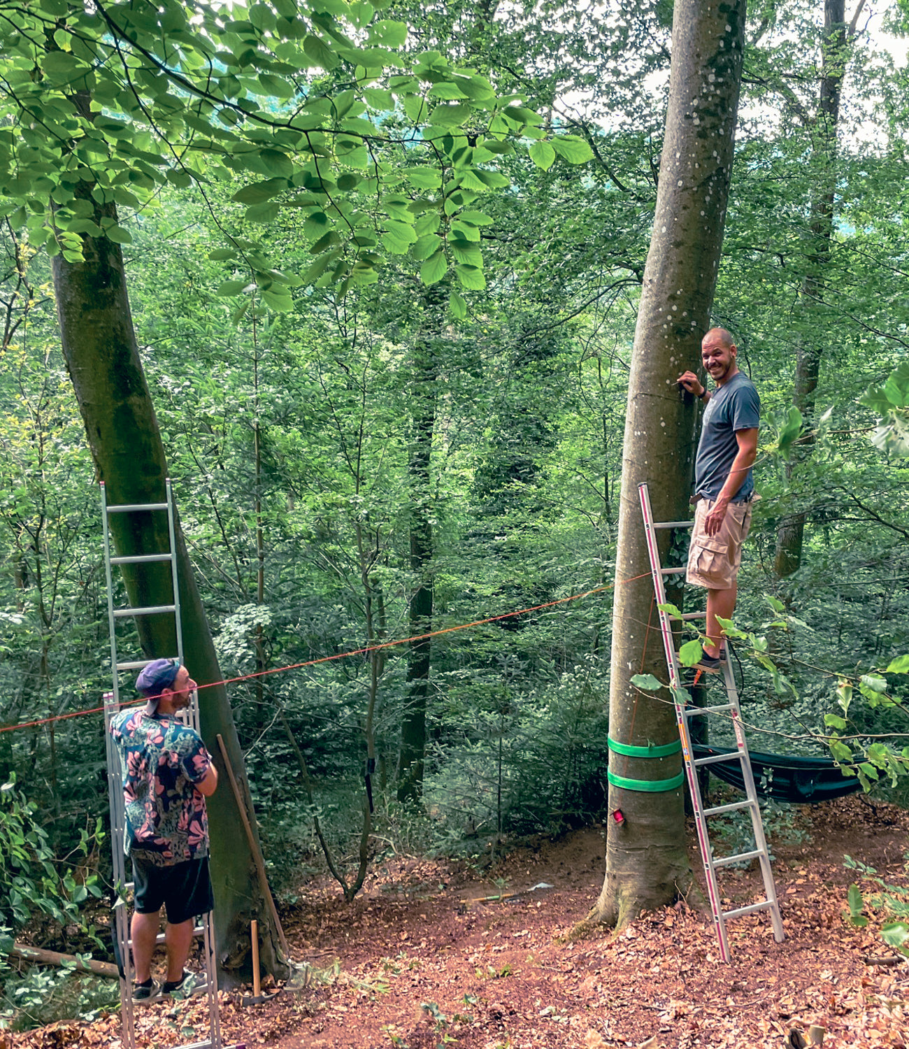 Baumhausbau Baumauswahl Kontrolle