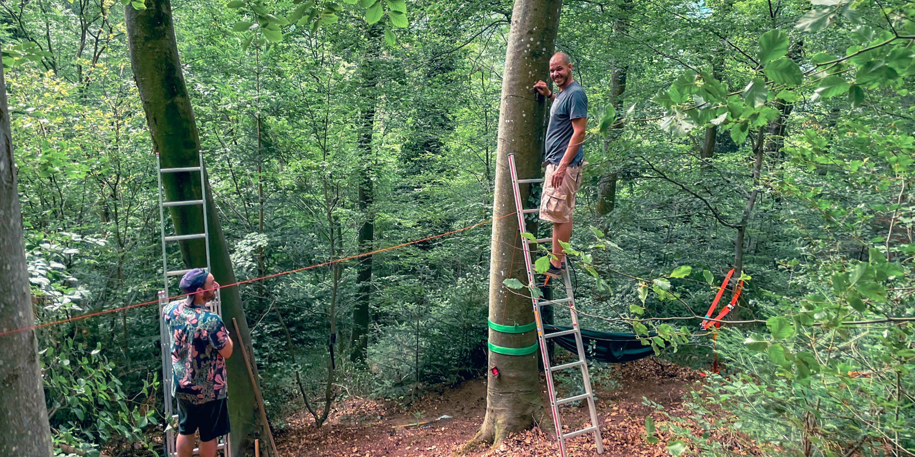 Baumhausbau Baumauswahl Kontrolle