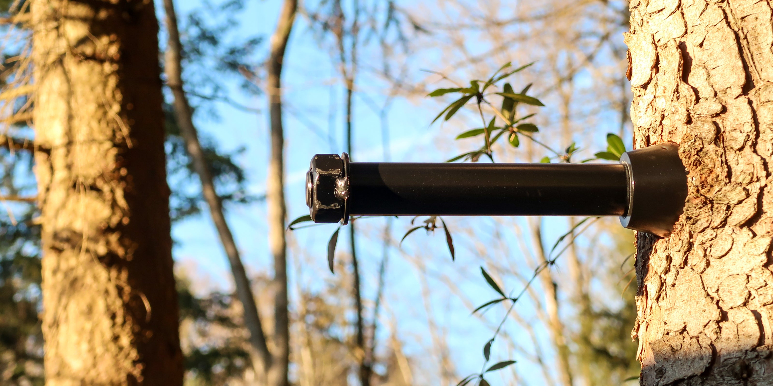 German Treehouse Screw GTS (aka. Treehouse Attachment Bolt TAB, Garnier Limb, Tree Fastener)