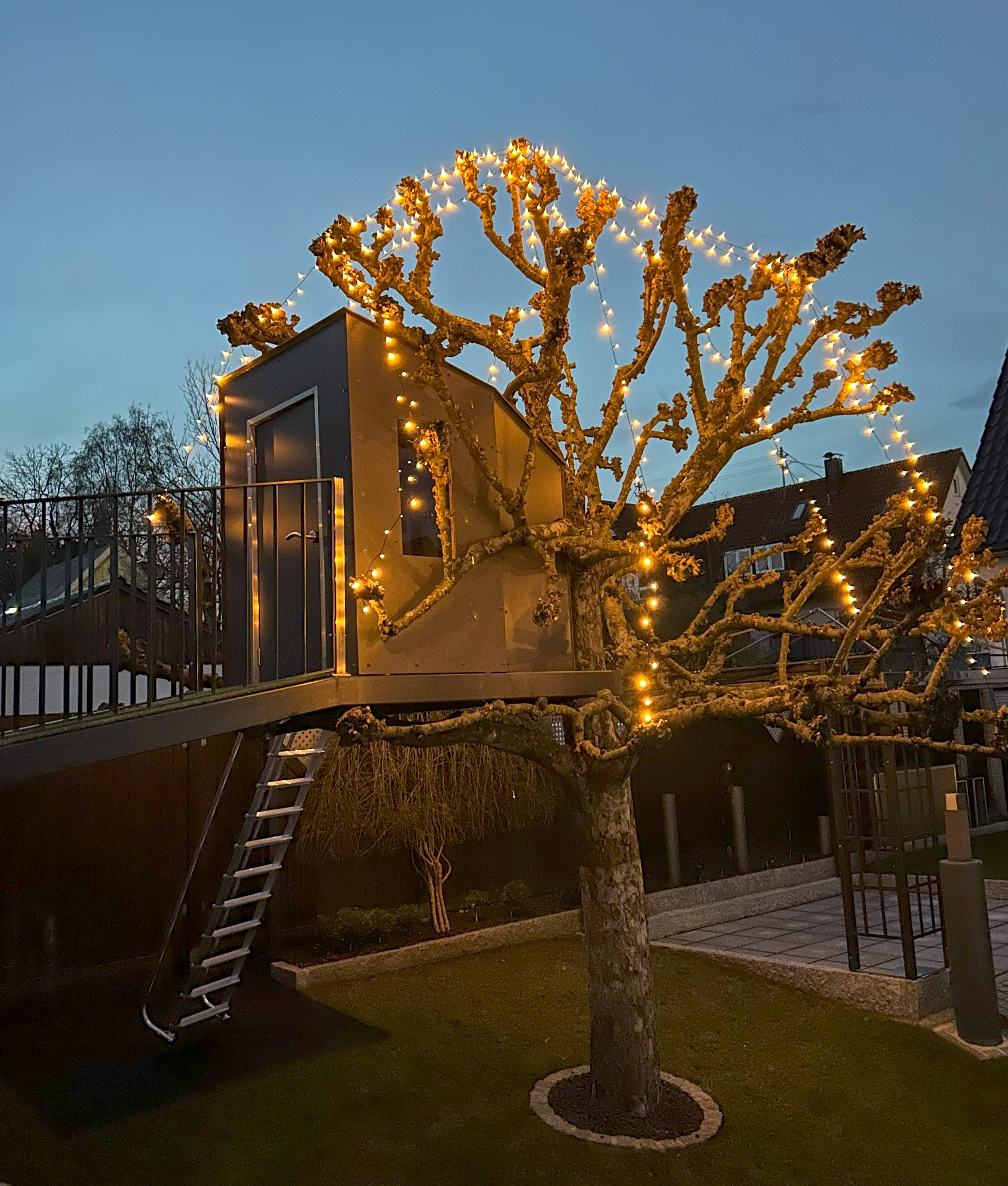 Baumhaus Wunderschön Kunst