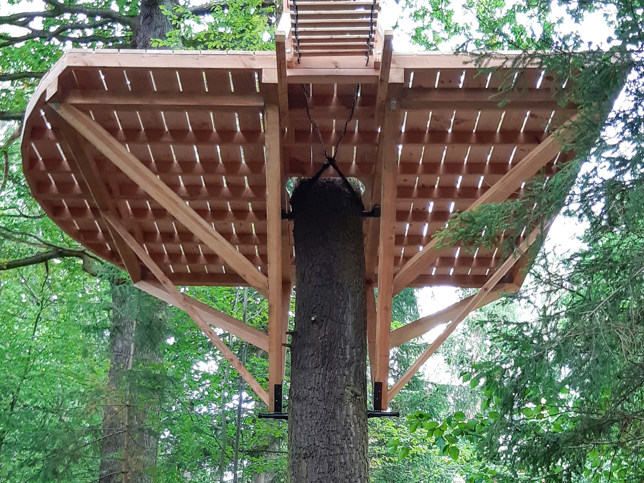 XXL Kit Fissaggio per Case per 1-2 Alberi, Triangolo GTS+