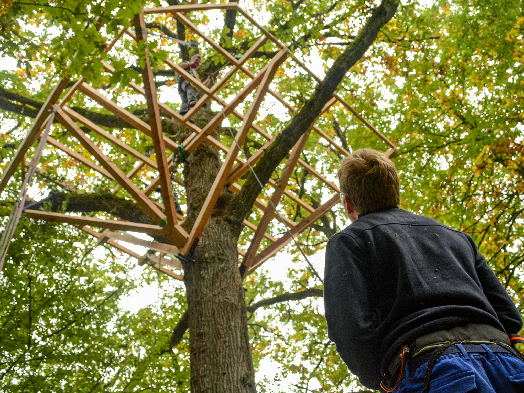 XXL Kit di Fissaggio Albero, Triangolo D90 GTS+