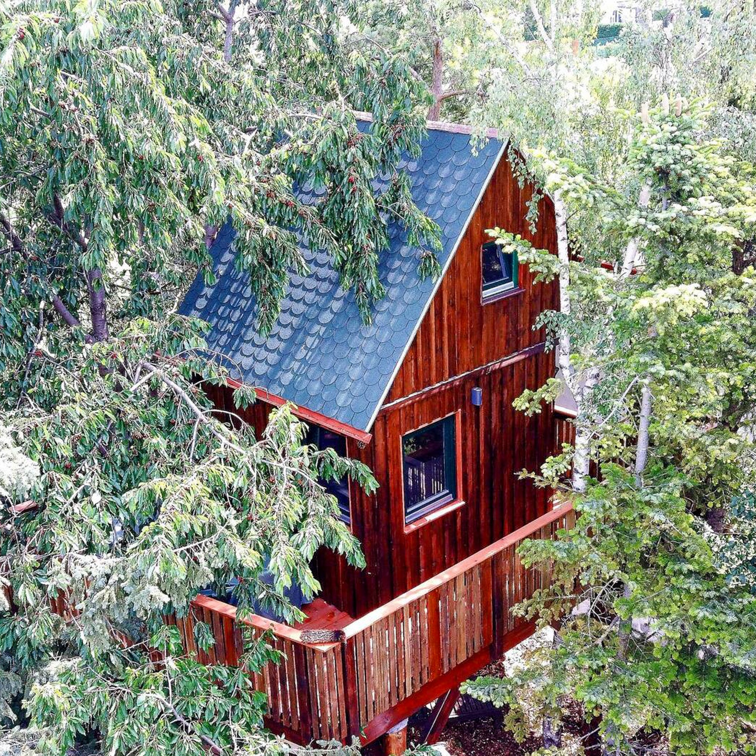 Huge treehouse for living - permit