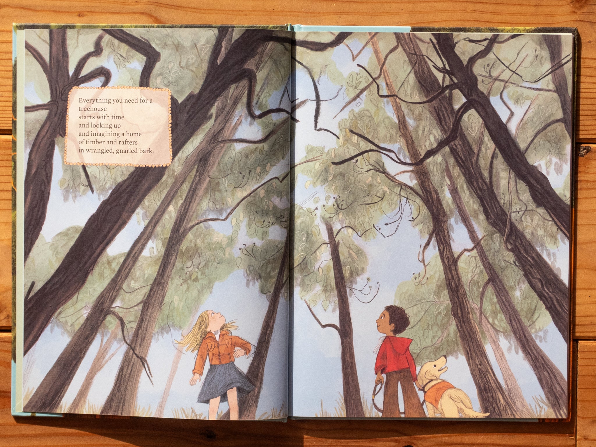 Baumhaus-KinderBuch "Everything you need for a Treehouse"