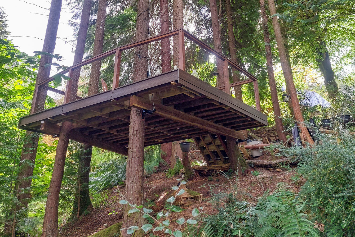 Baumhaus Plattform bauen – Anleitung  schöne Plattform im Wald mit richtiger Befestigungs Methode Fachhandel Hardware Baumschrauben GTS