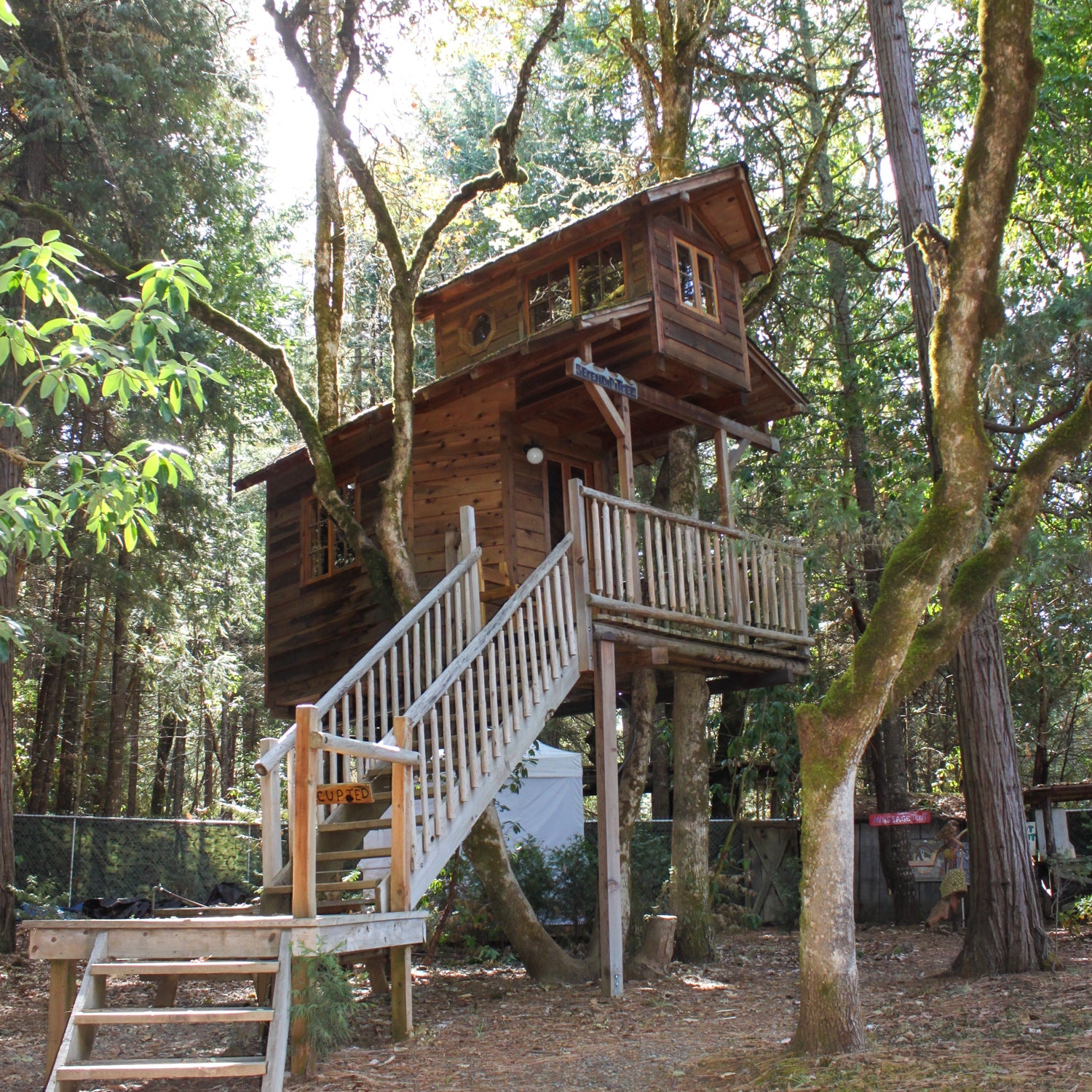 Old treehouse built by Michael Garnier - Out'n'About Resort, Oregon, USA