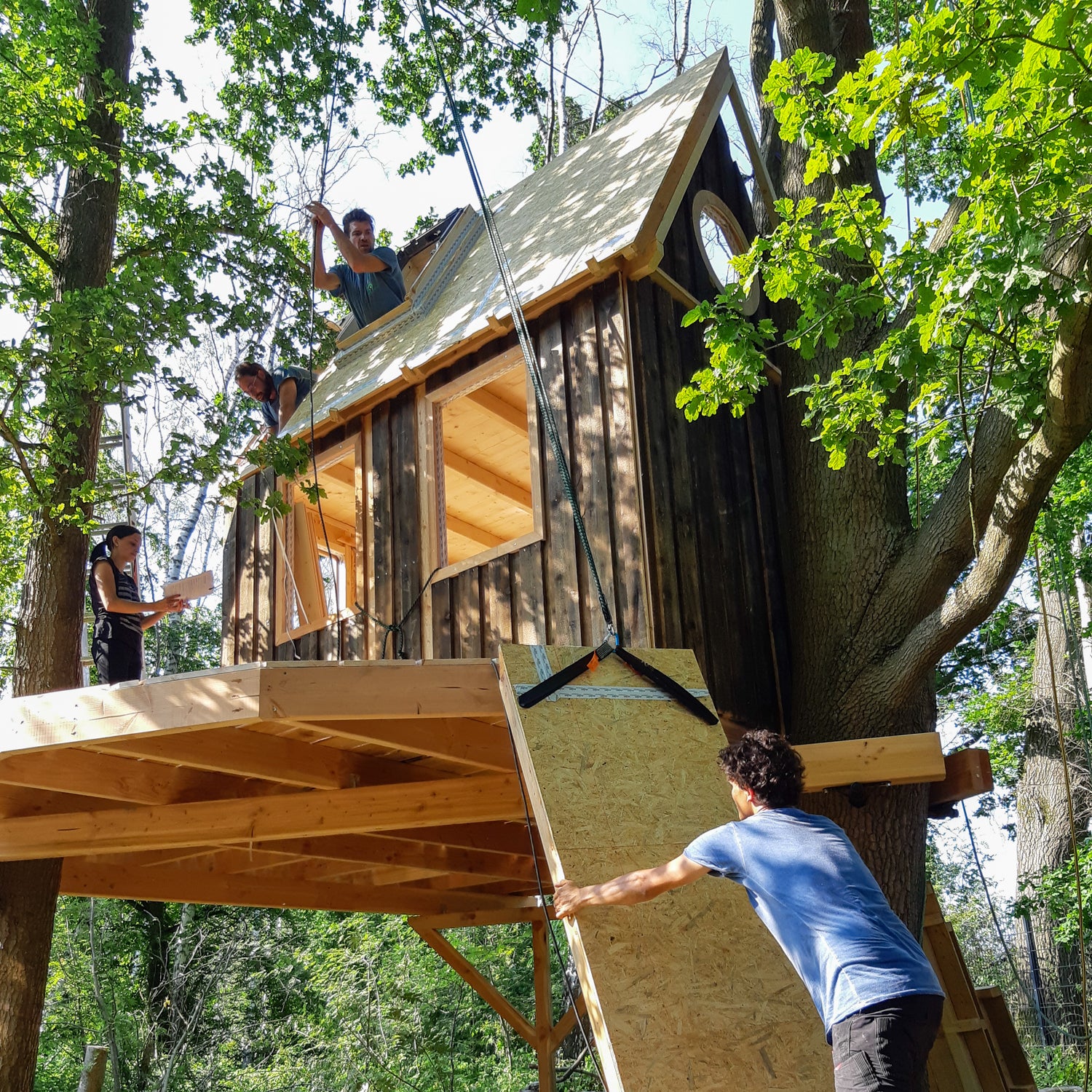 Building a treehouse in backyard forrest
