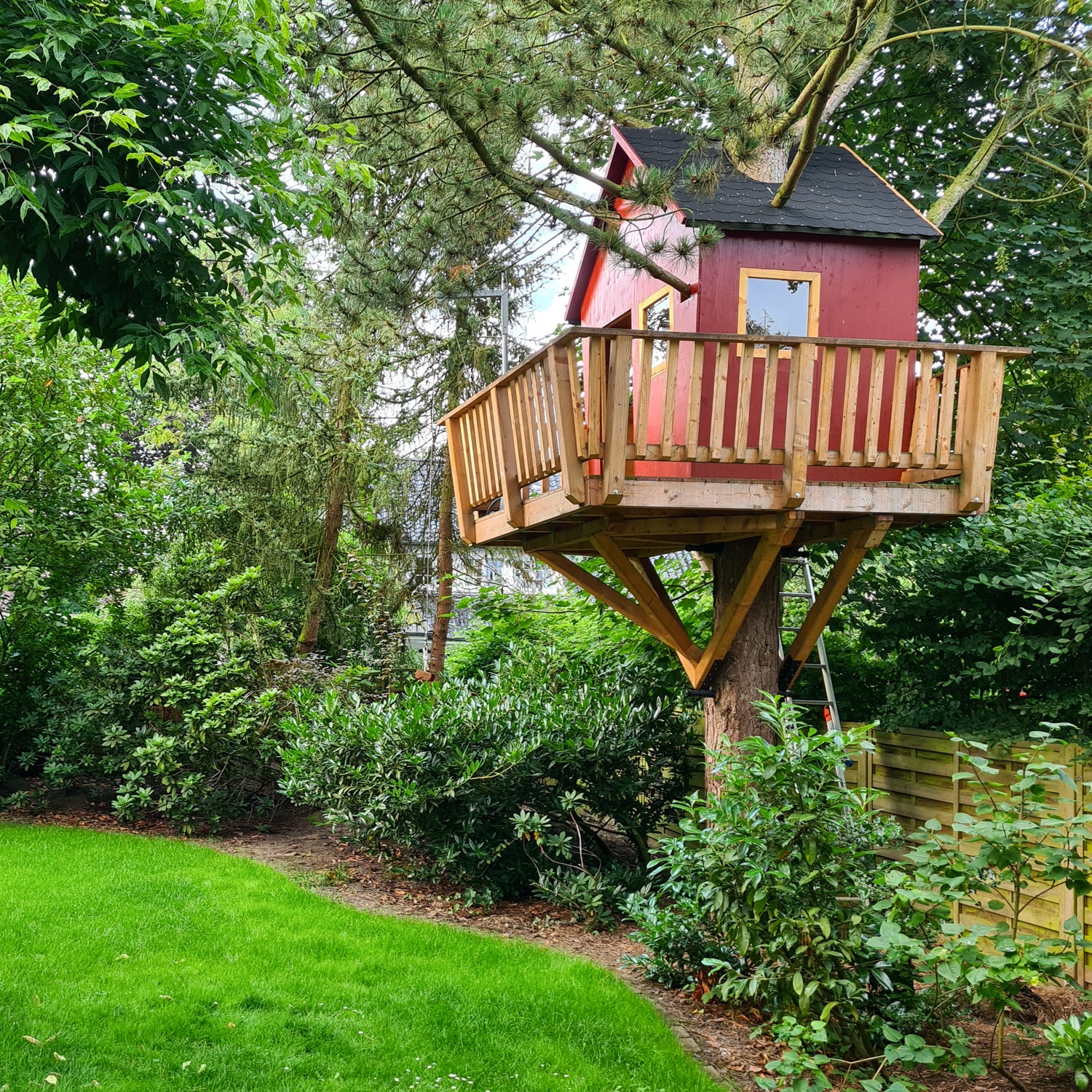 Lovely tiny red treehouse in backyard