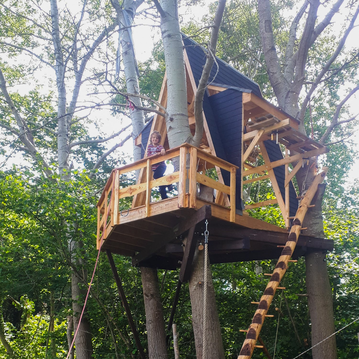 Lucky kid building treehouse with father