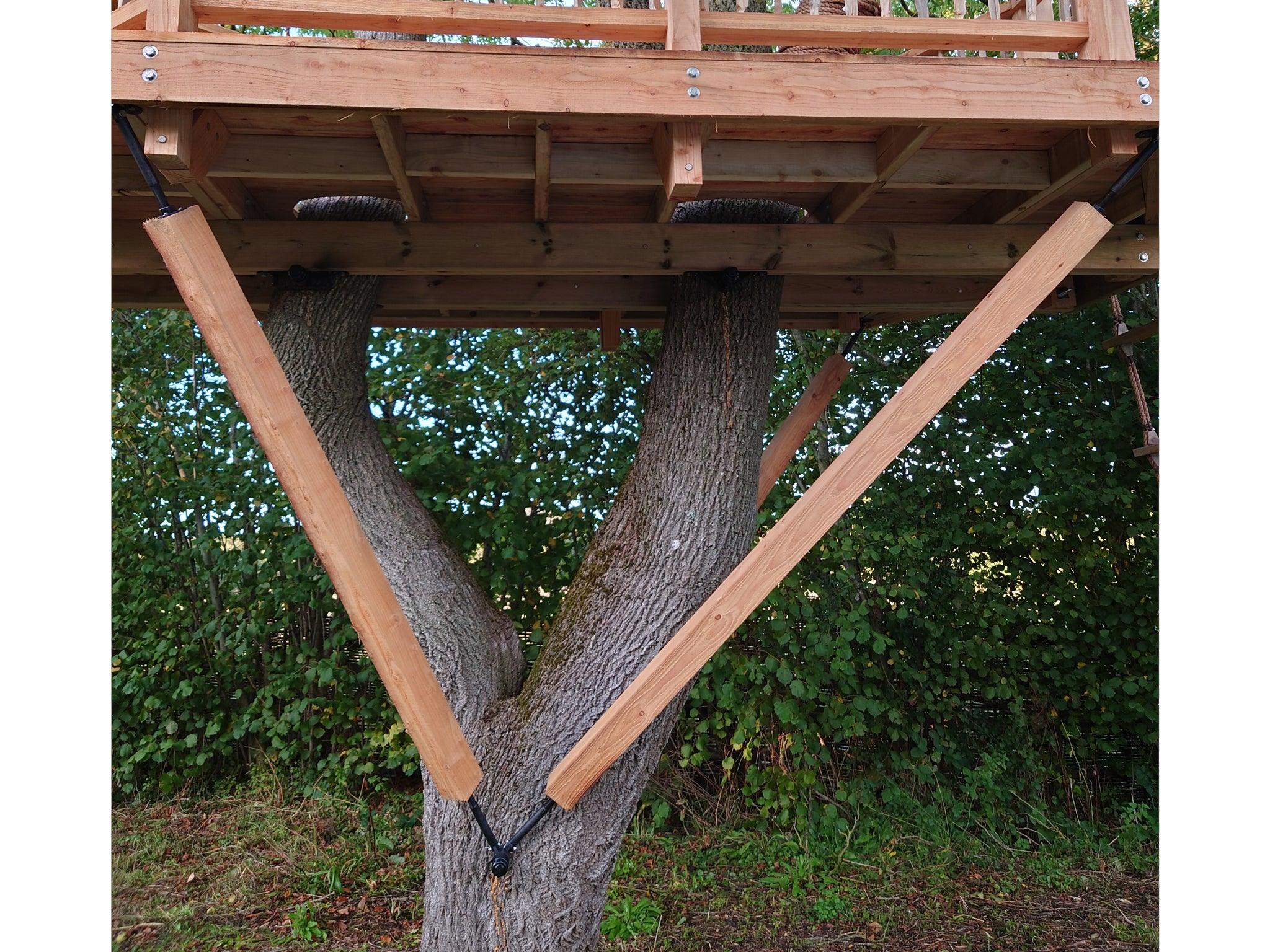 Strut-Connector Platform