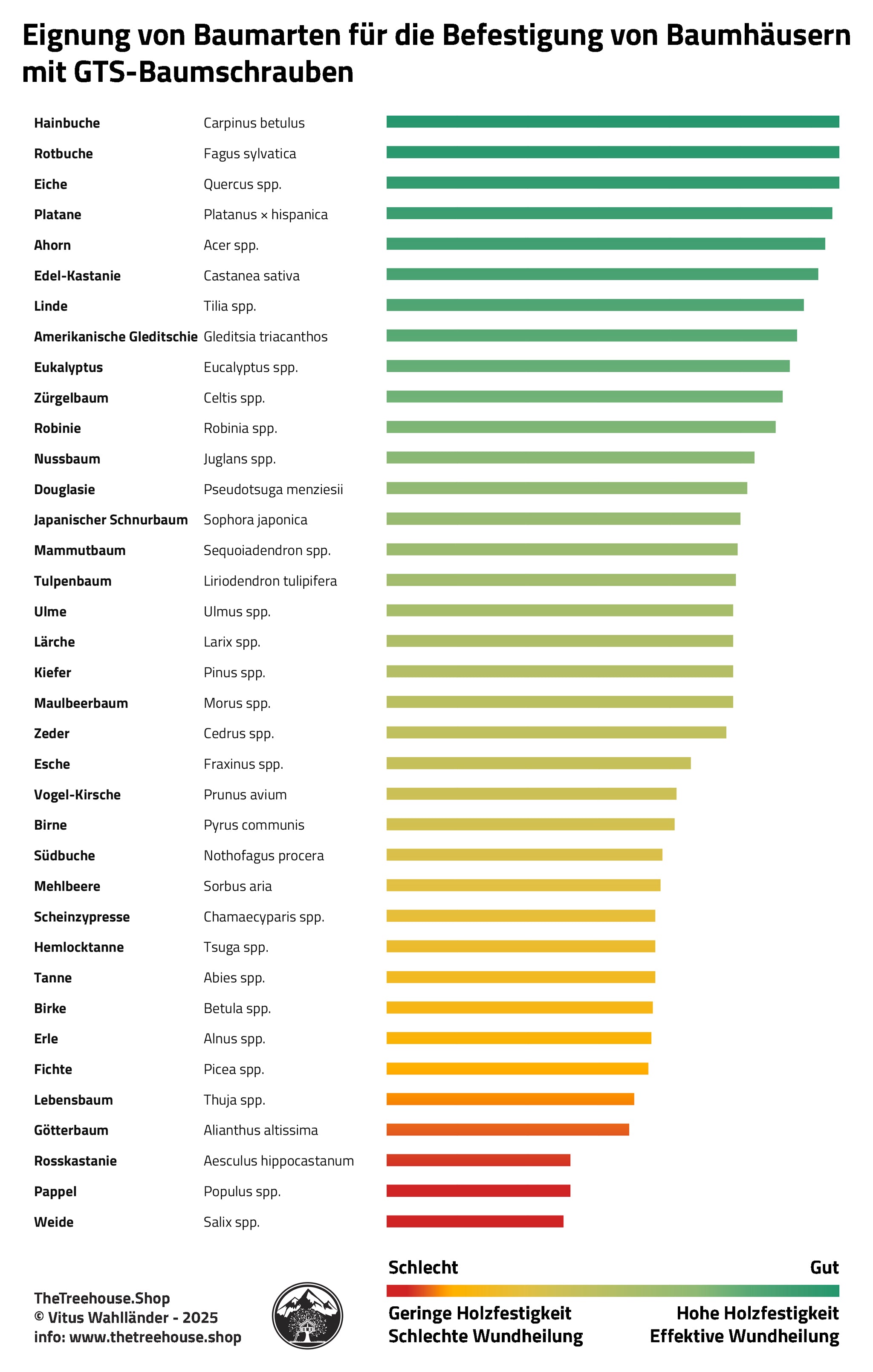 Baumhaus Baumarten Eignung Baumhausbau