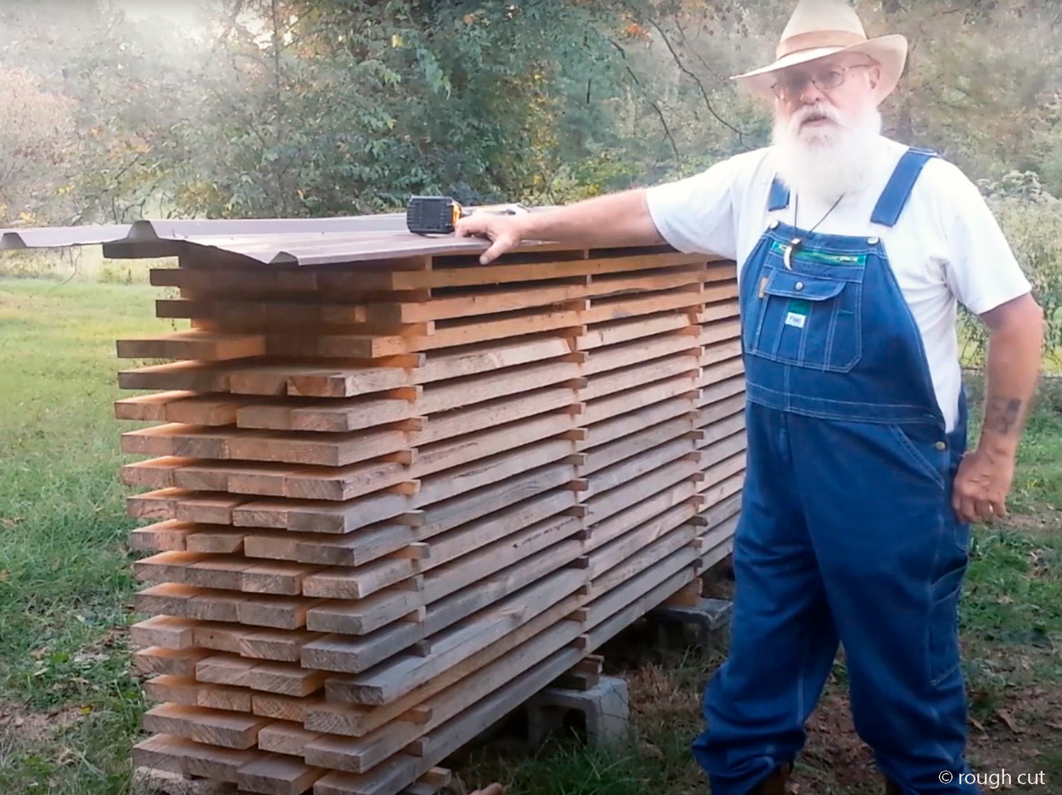 Baumhaus bauen Holz – DIY richtige Holz verwenden was ist geeignet