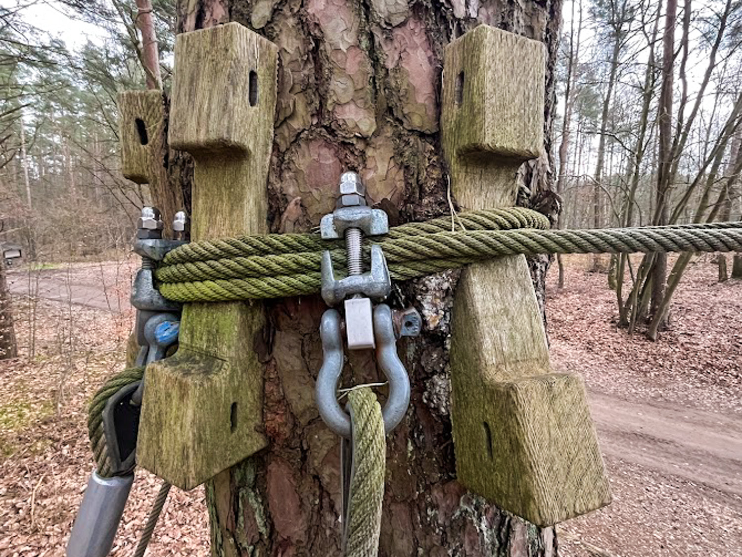 Baumhausbau Fehler Mängel Schäden