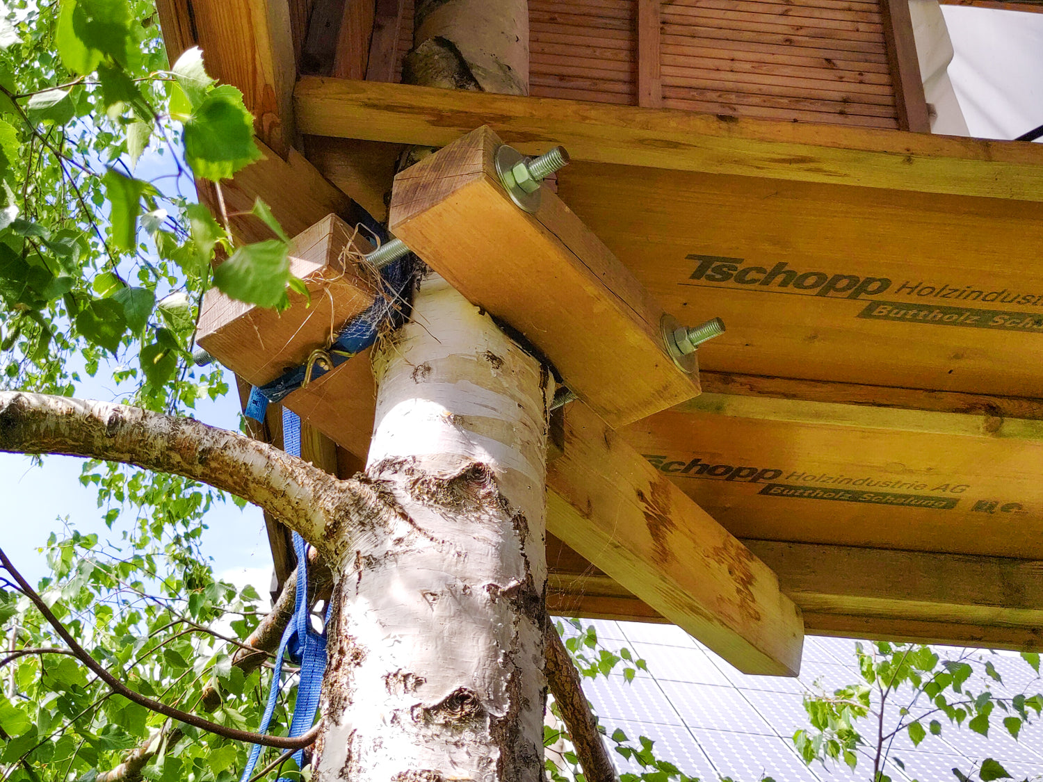 Baumhausbau Fehler Mängel Schäden