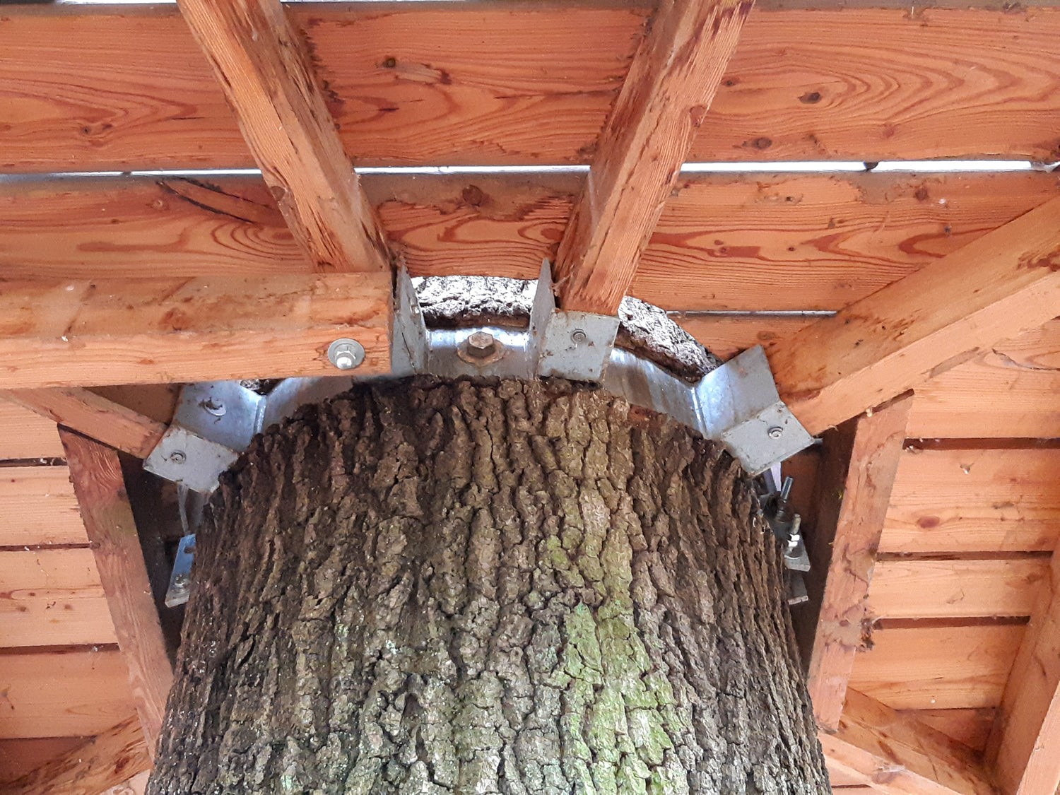 Baumhausbau Fehler Mängel Schäden - Langzeit