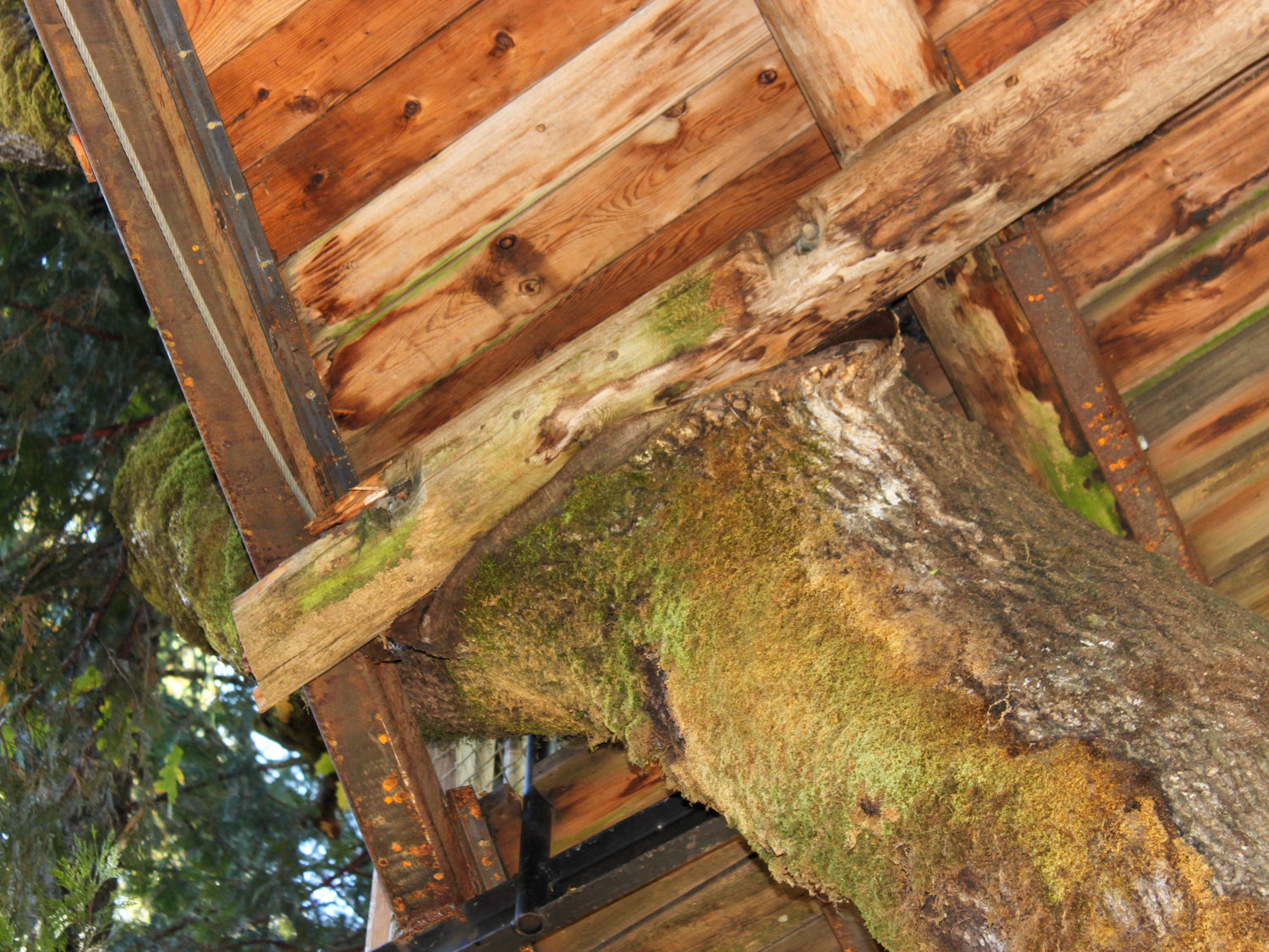Baumhausbau Fehler Mängel Schäden
