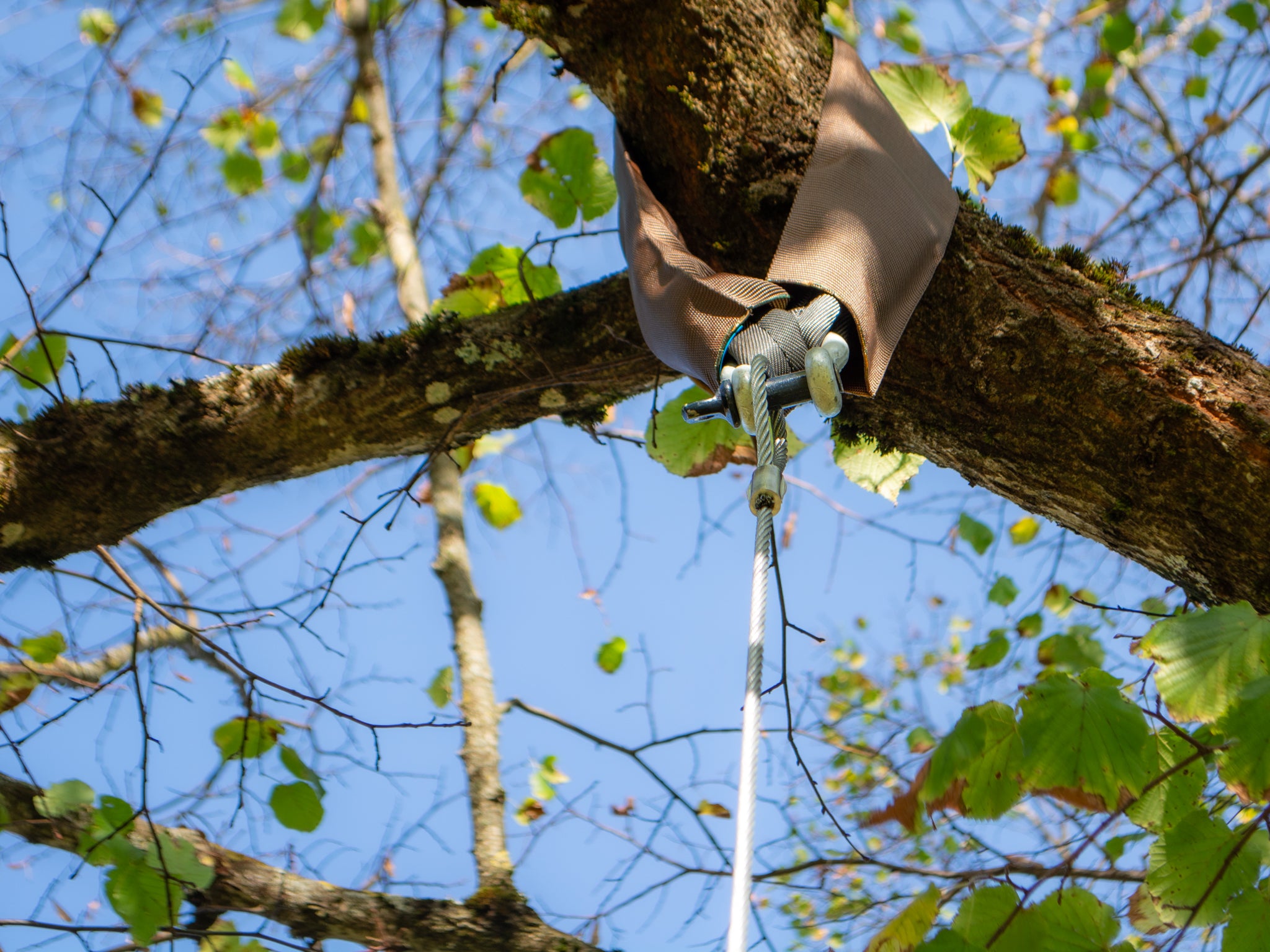 Sangle de Haubanage pour Arbres