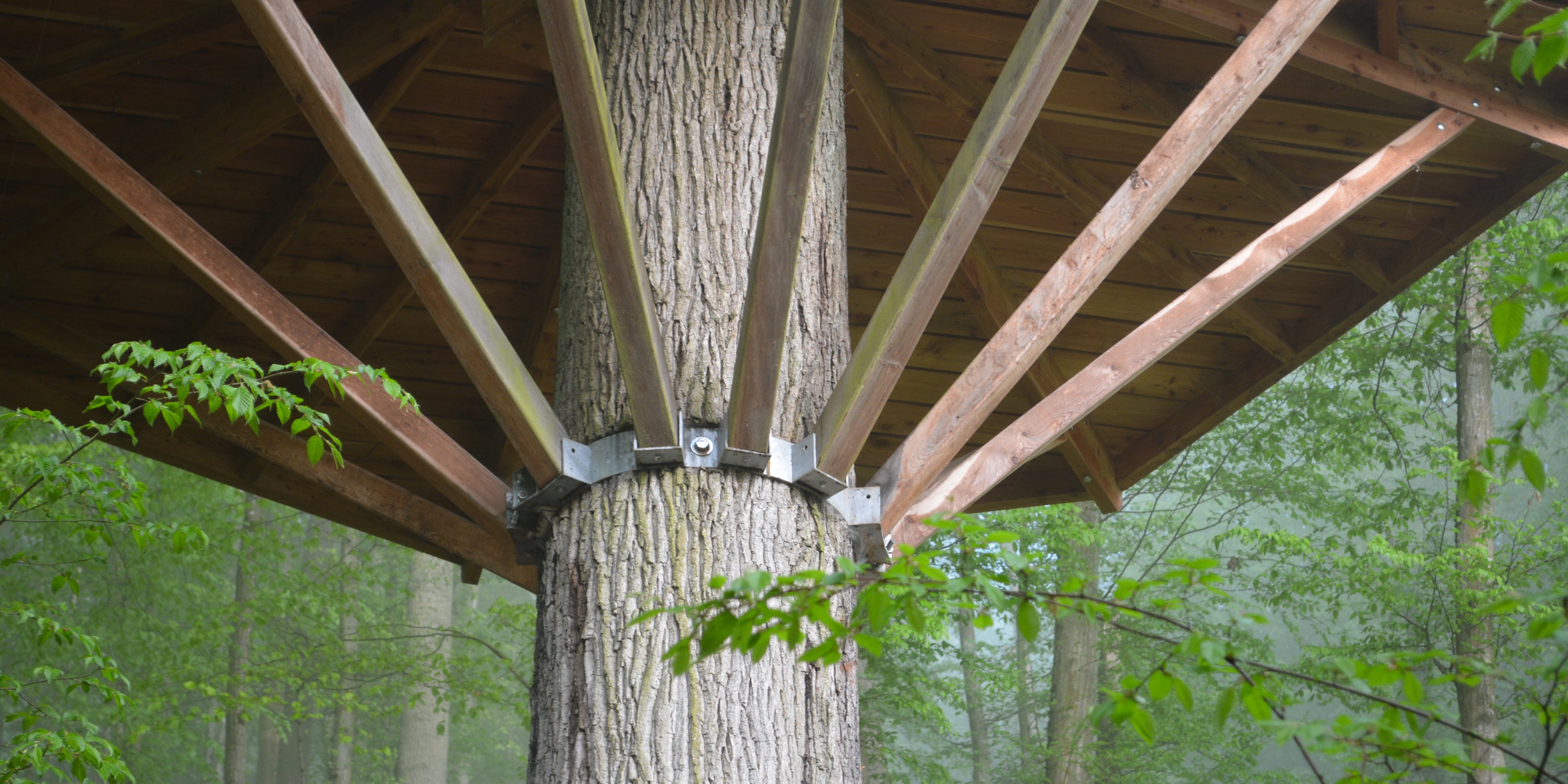 Treehouse Attachment Methods Compared - Fixation and Fastening on Tree