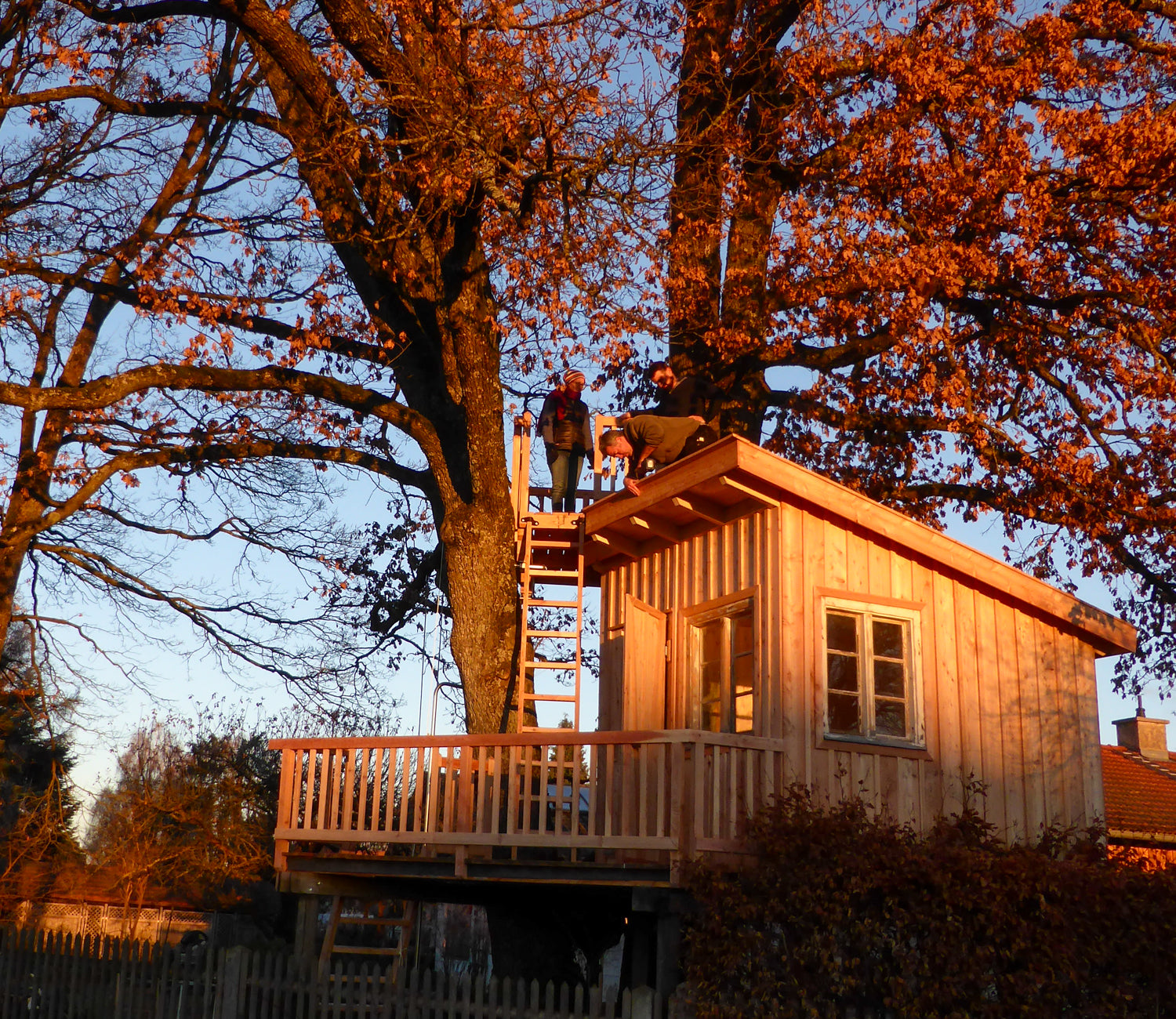 Building Treehouse in Backyard - Is that allowed?