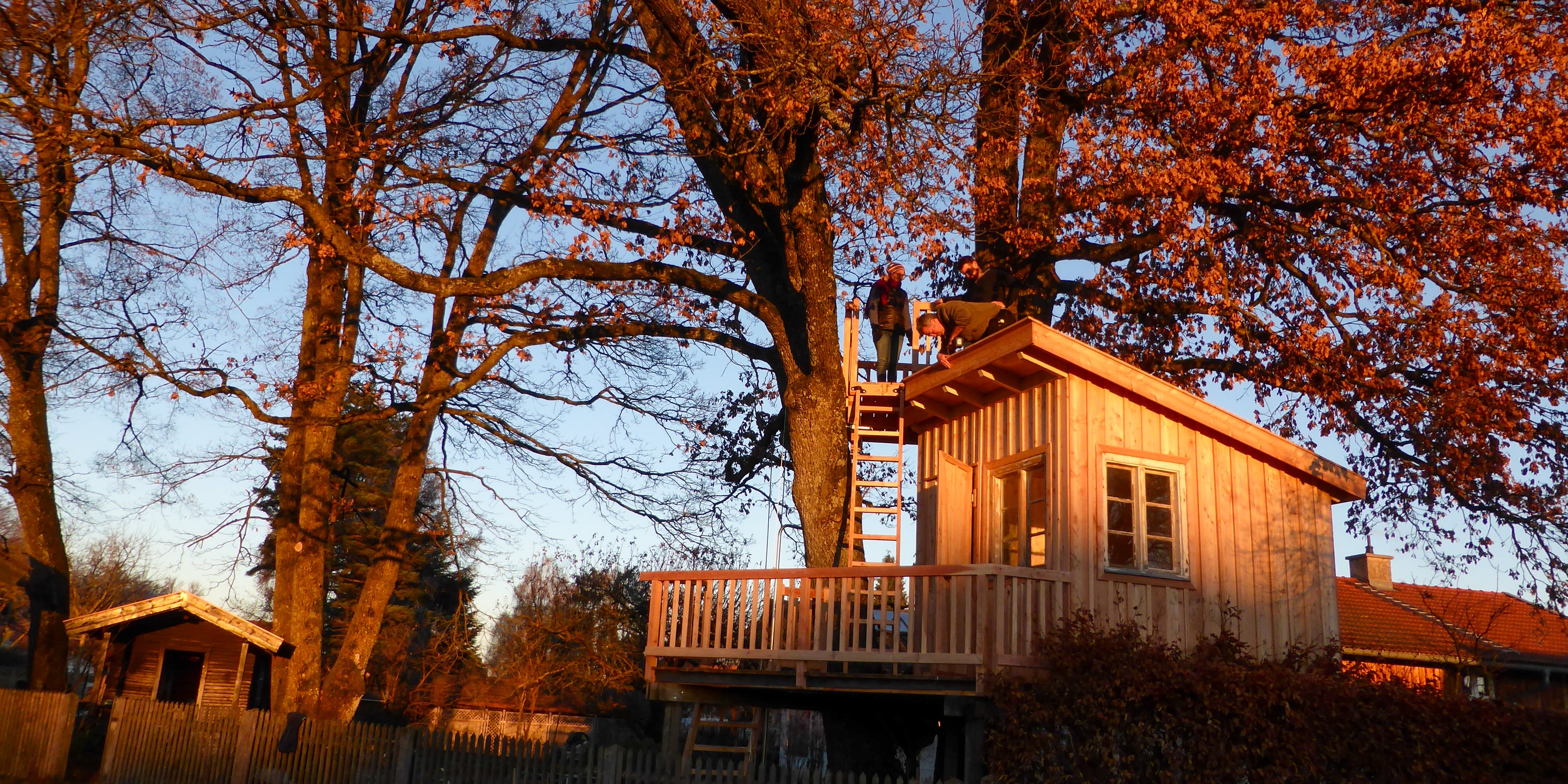Building Treehouse in Backyard - Is that allowed?