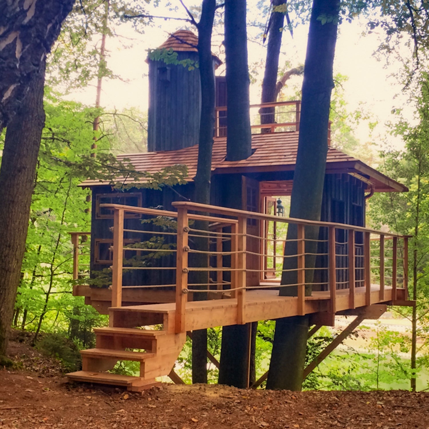 High-end treehouse hotel for rent by professional treehouse builder (by baumbaron)