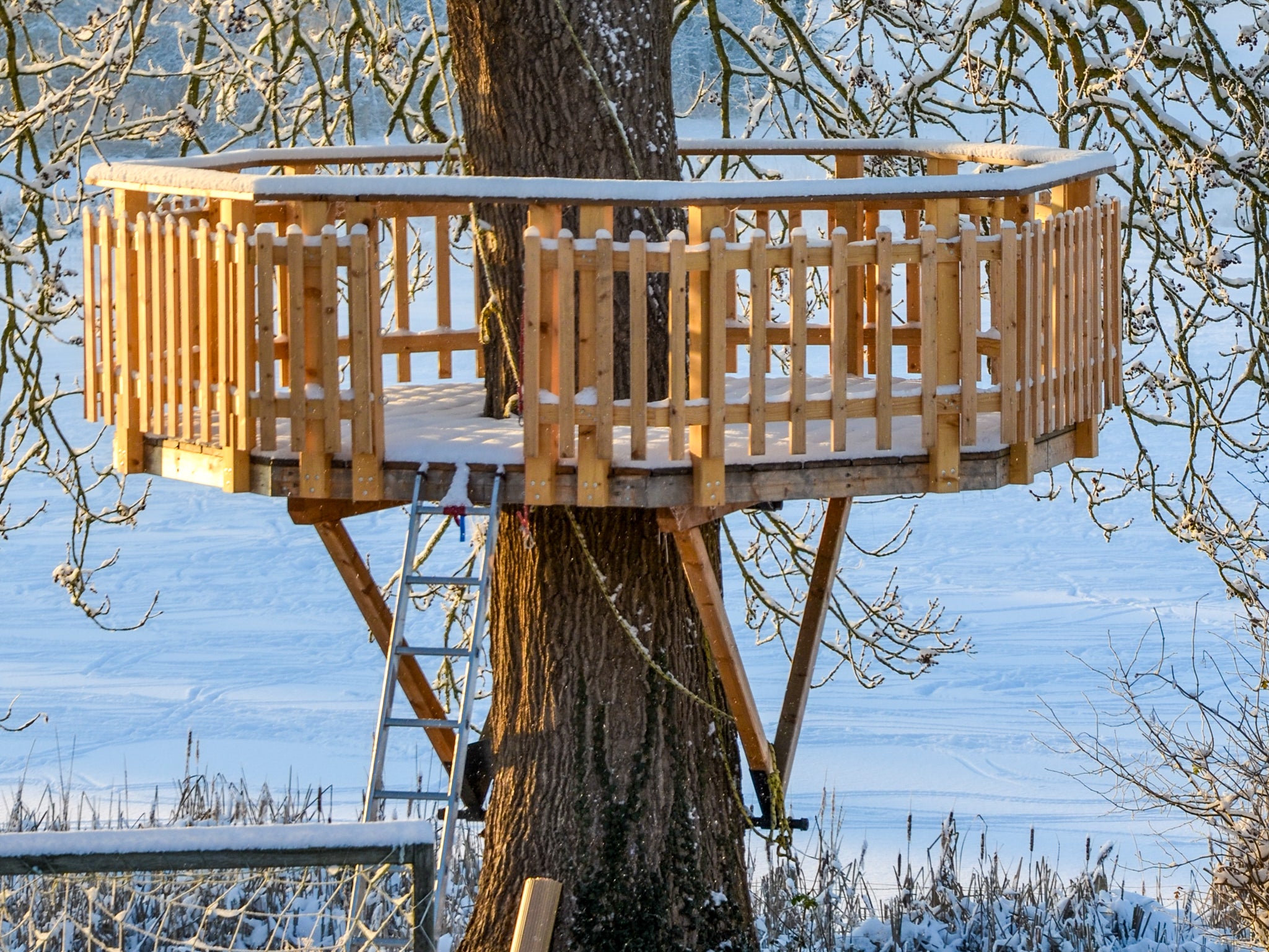 Baumhaus Winter Plattform Bausatz
