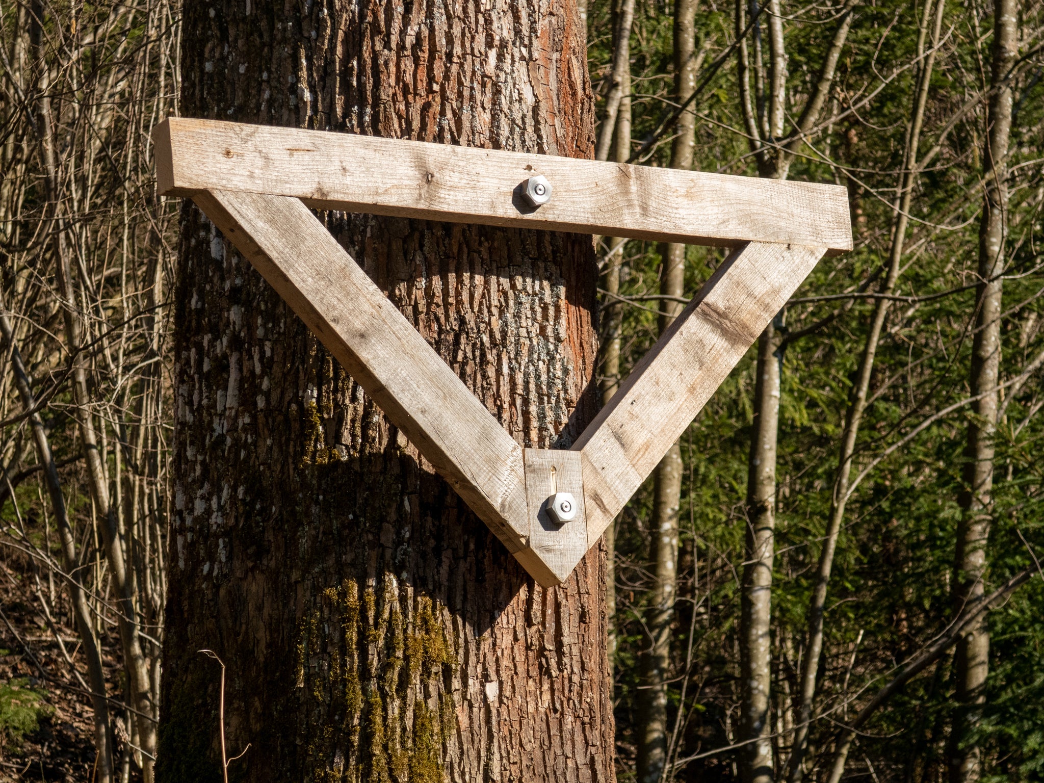 XS Kit di Fissaggio Albero, Triangolo Free Kids