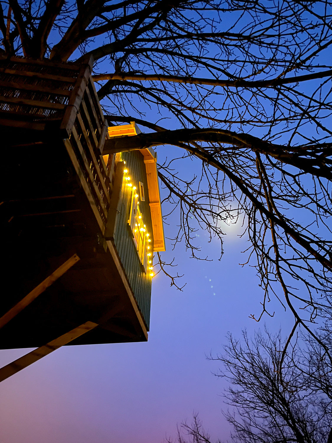 Baumhaus Nacht Mondschein - Übernachtung Magie