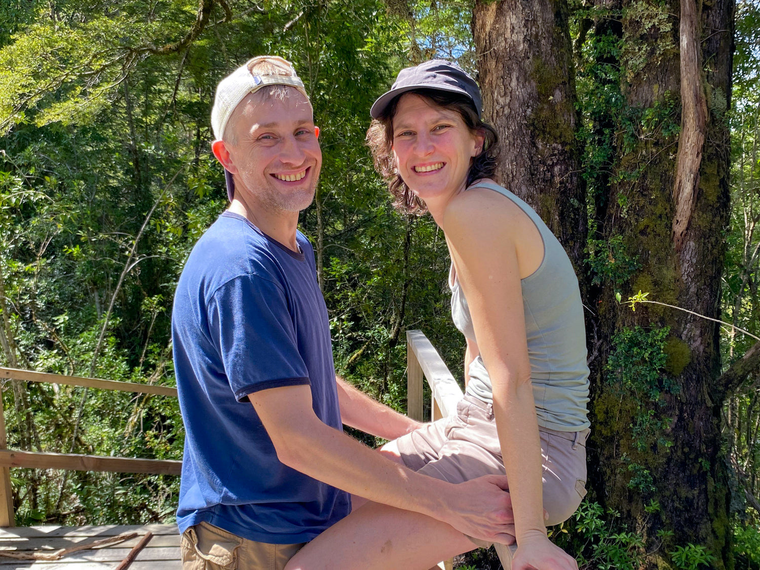 LookUp Green - Treehouse Building Professionals from Belgium