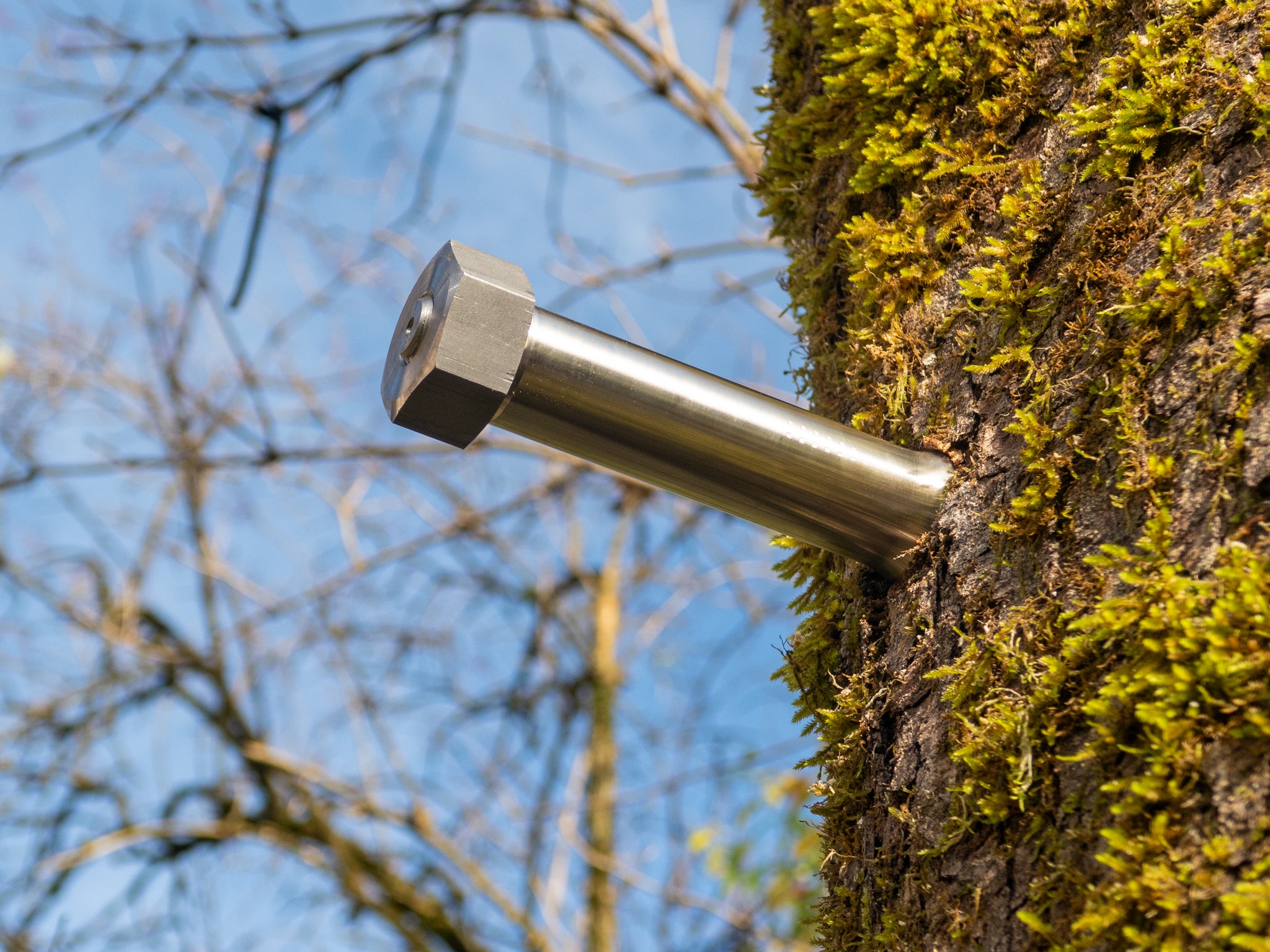 GTS Free – Baumschraube bis 1.400 kg Tragkraft