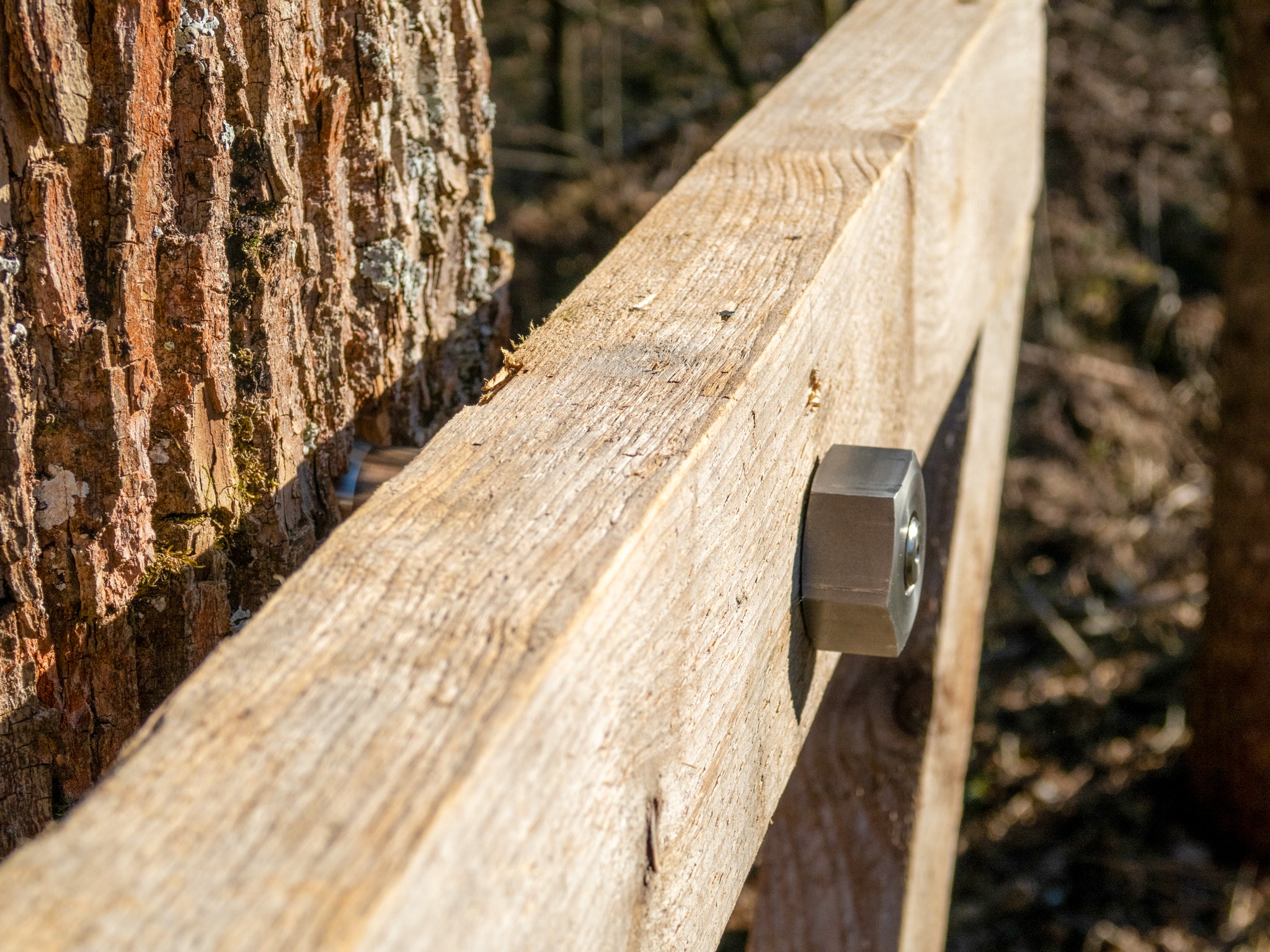 GTS Free – Baumschraube bis 1.400 kg Tragkraft