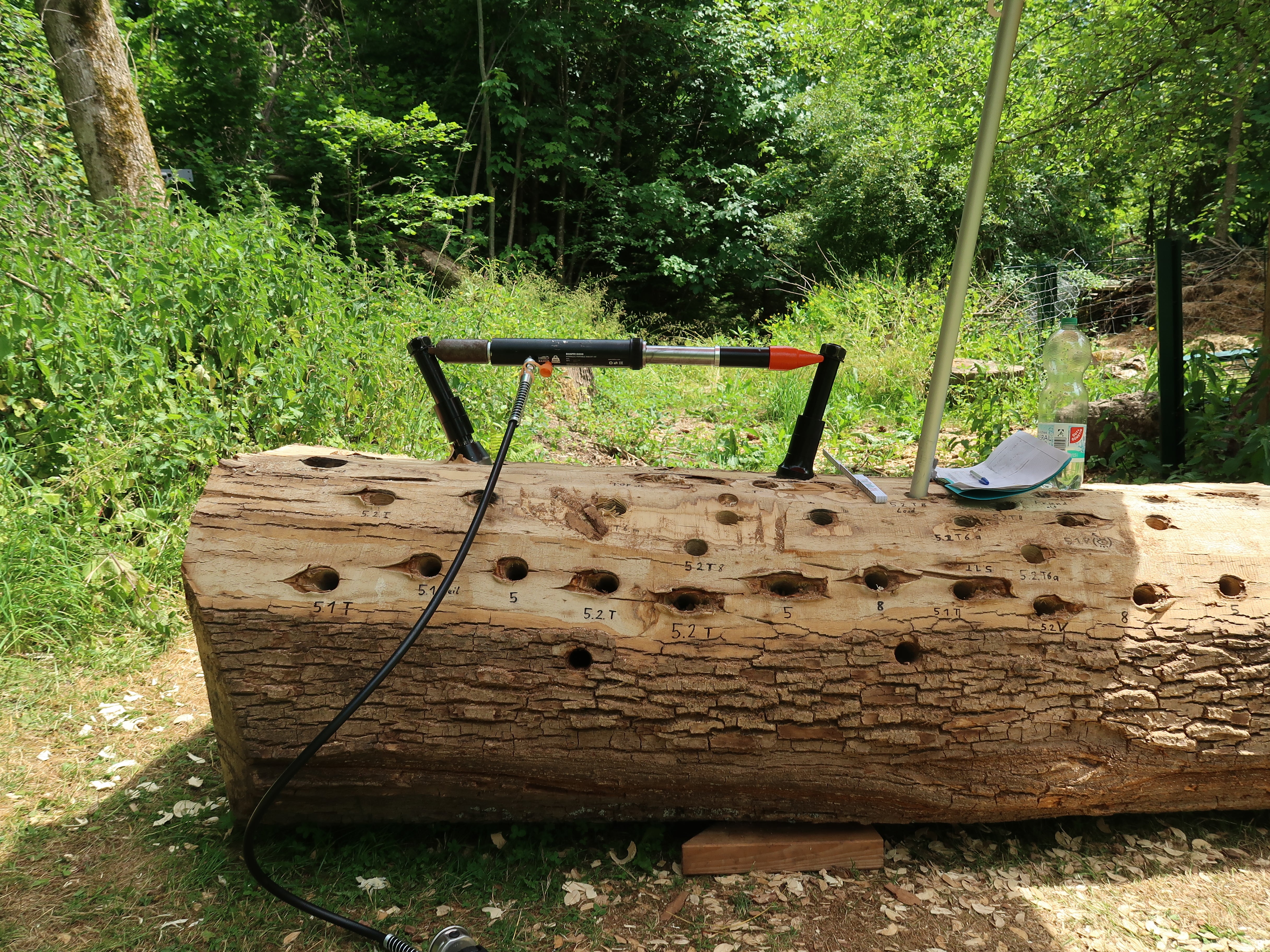 Test Belastung Schraube GTS