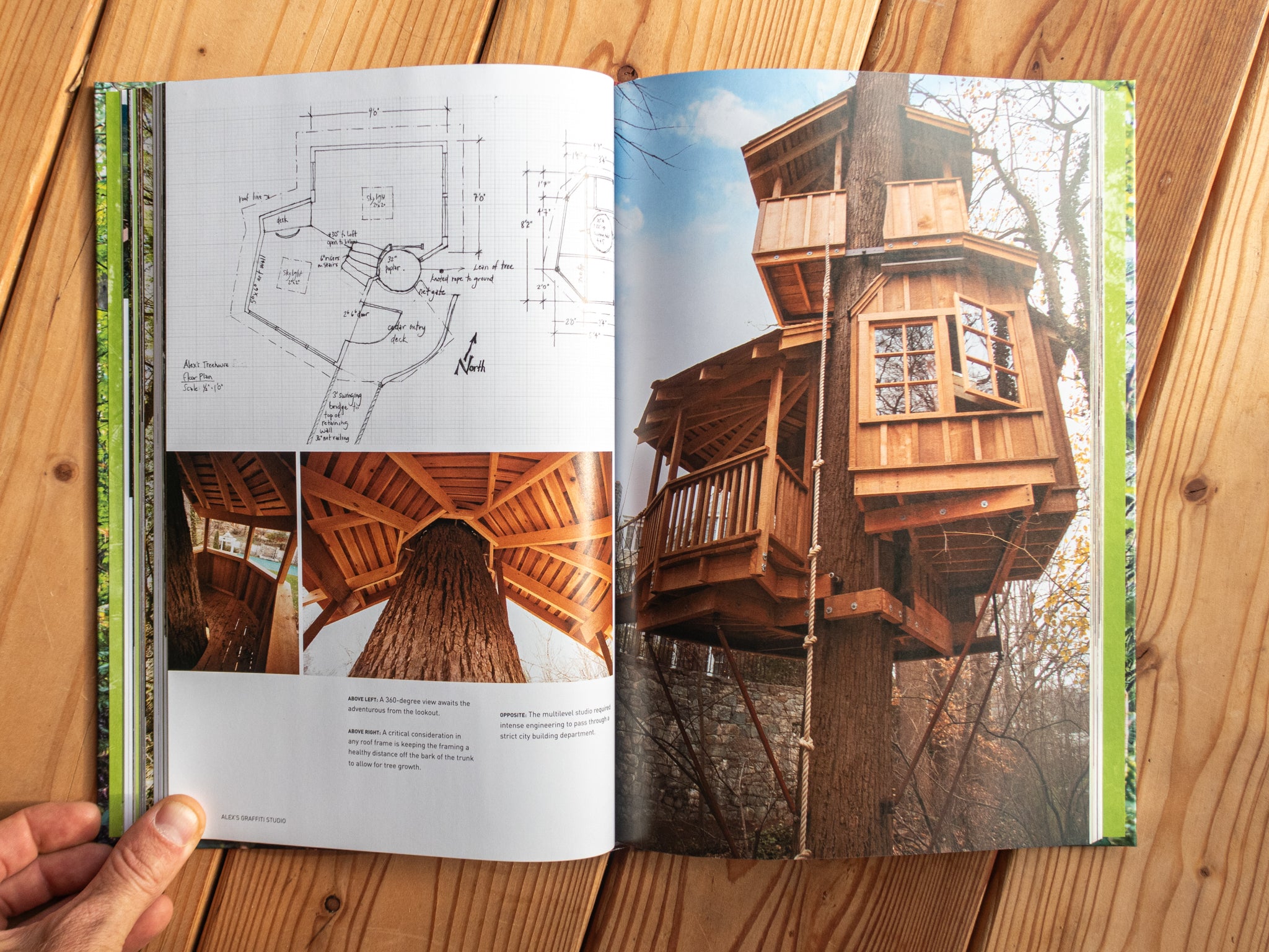 Buch Baumhaus Englisch