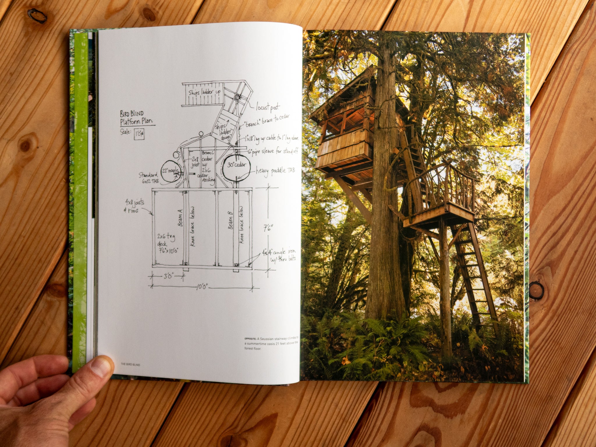 Book "Pete Nelson – Be in a Treehouse"