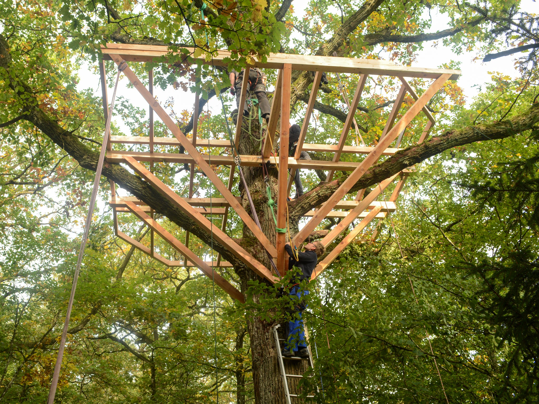 XXL Baumhaus-Bausatz für 1–2 Bäume, Dreieck GTS+