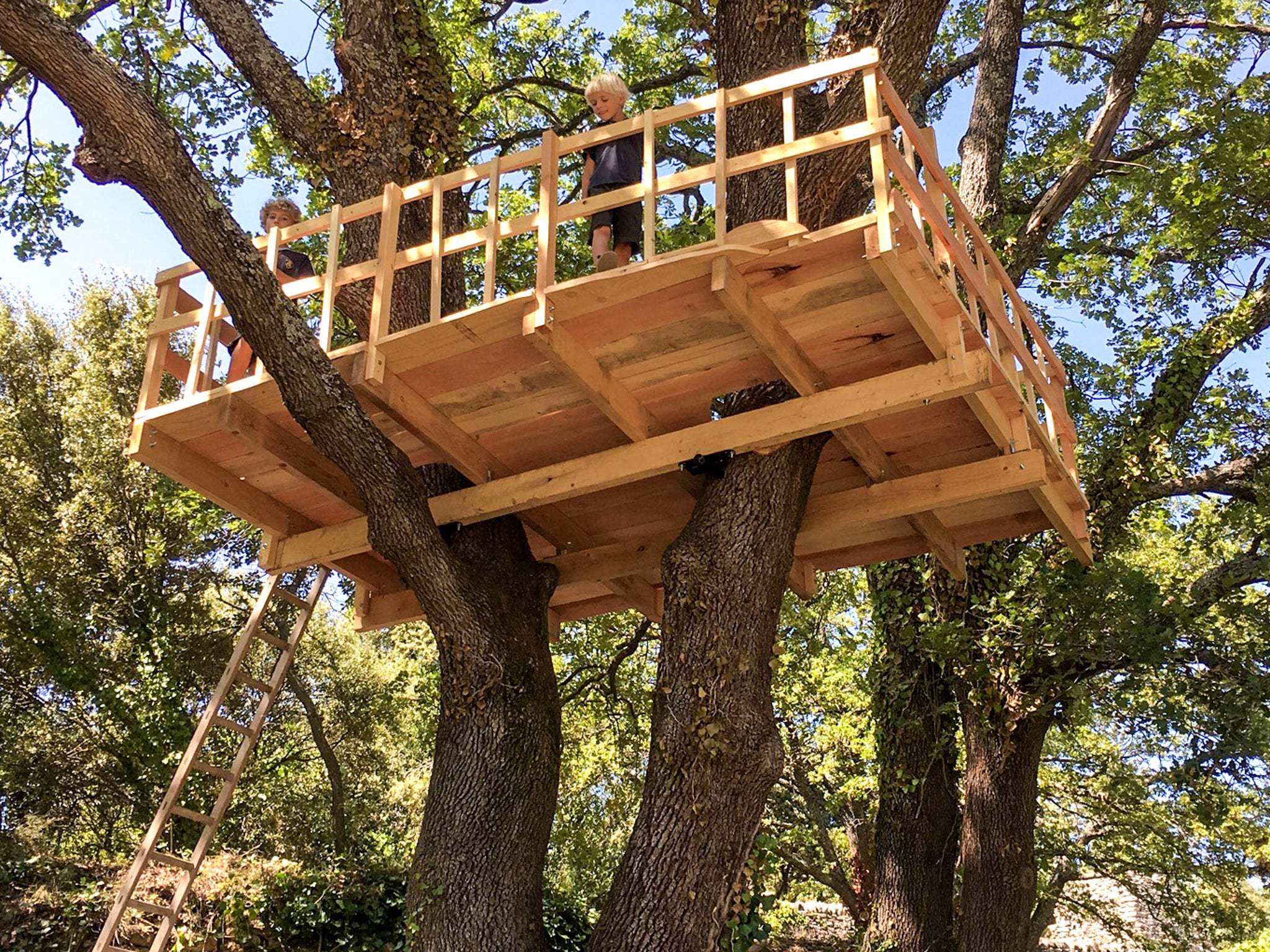 Happy kids on small treehouse platform between 2 oak trees - law & order