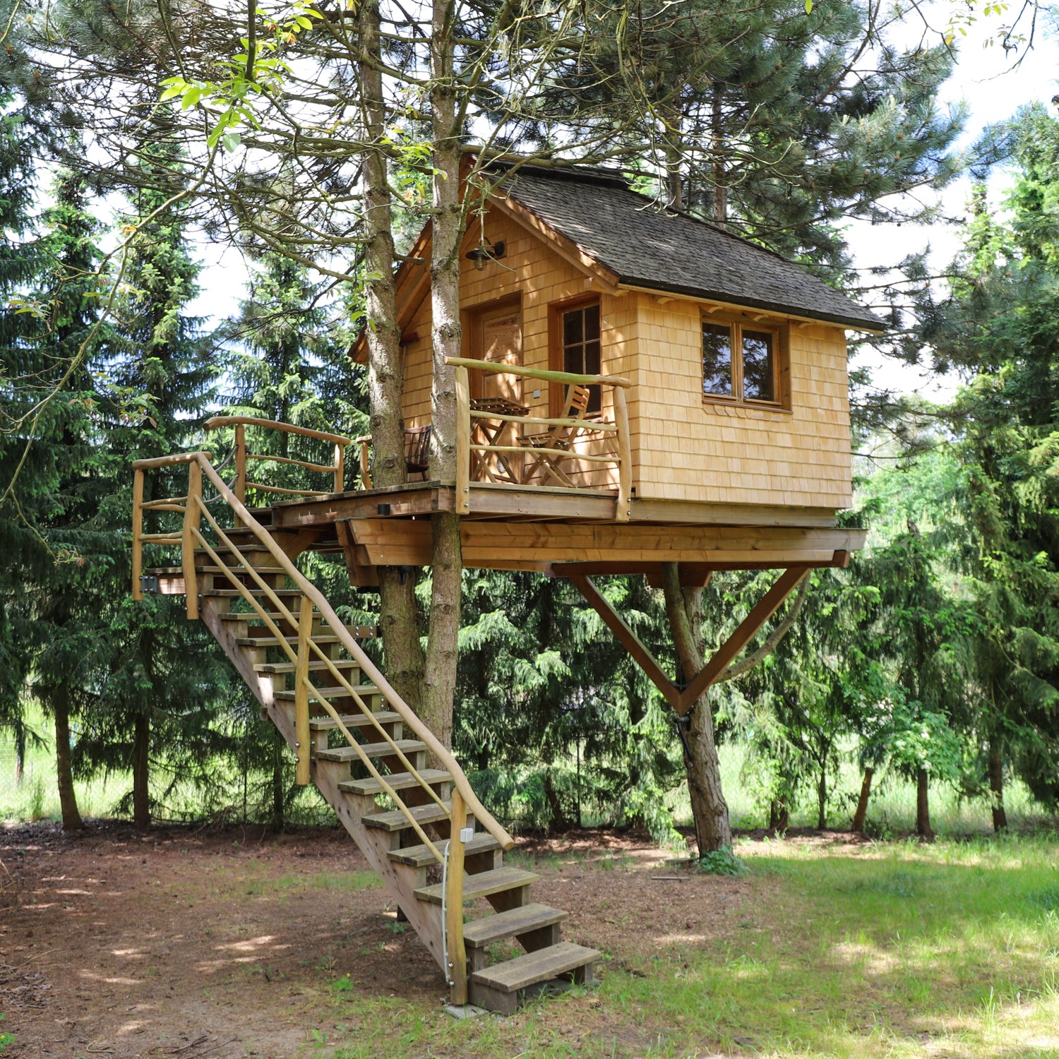 Baumhaus bauen DIY – Anleitung passende Schrauben zum passenden Projekt, Traum vom Baumhaus im Garten