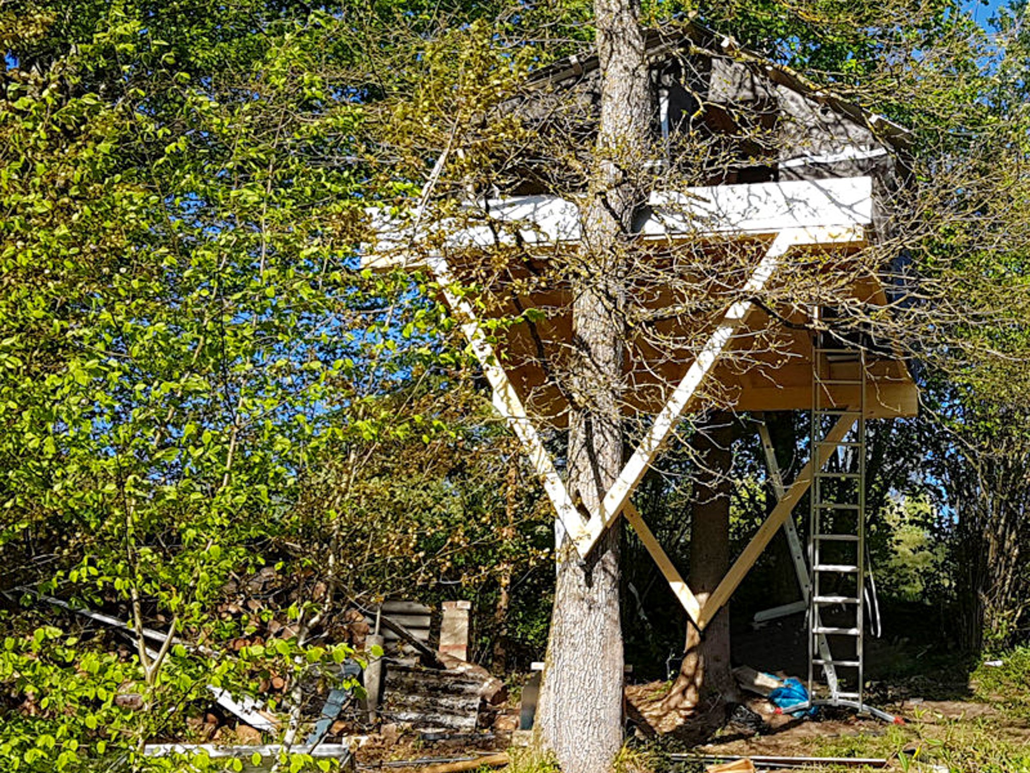 Baumhaus befestigen DIY – Dreieck Befestigung am hohen Baum – Profi Baumschraube kaufen – Baumhaus selber bauen – Profi Hardware Fachhandel