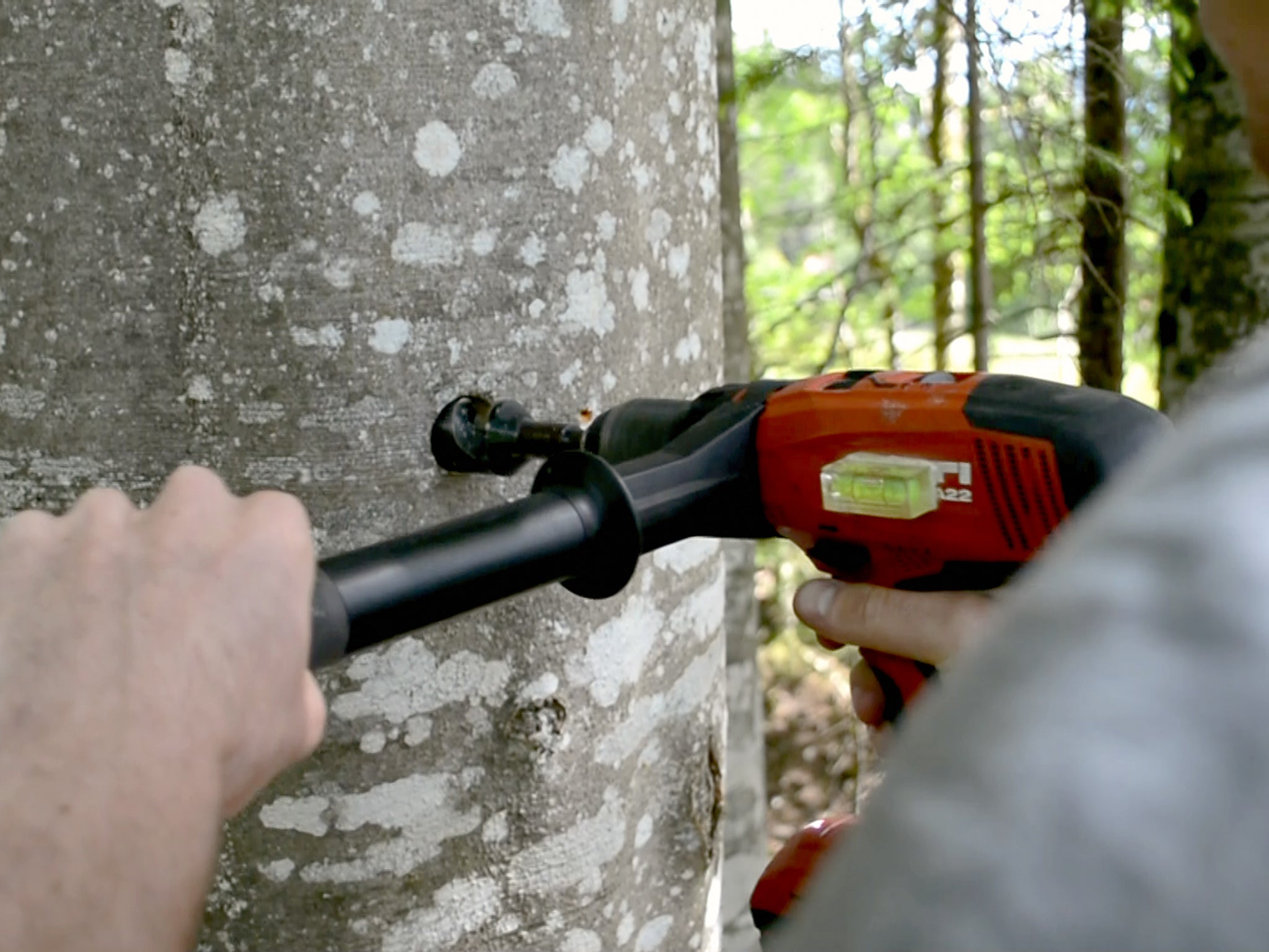 Bohrer für Montage GTS