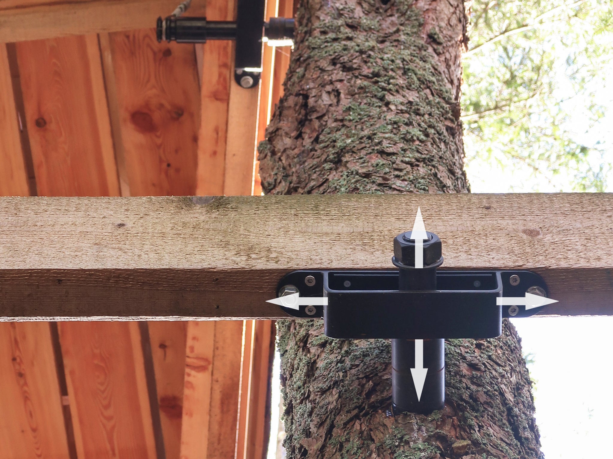 Tree wooden beam dynamic movement space