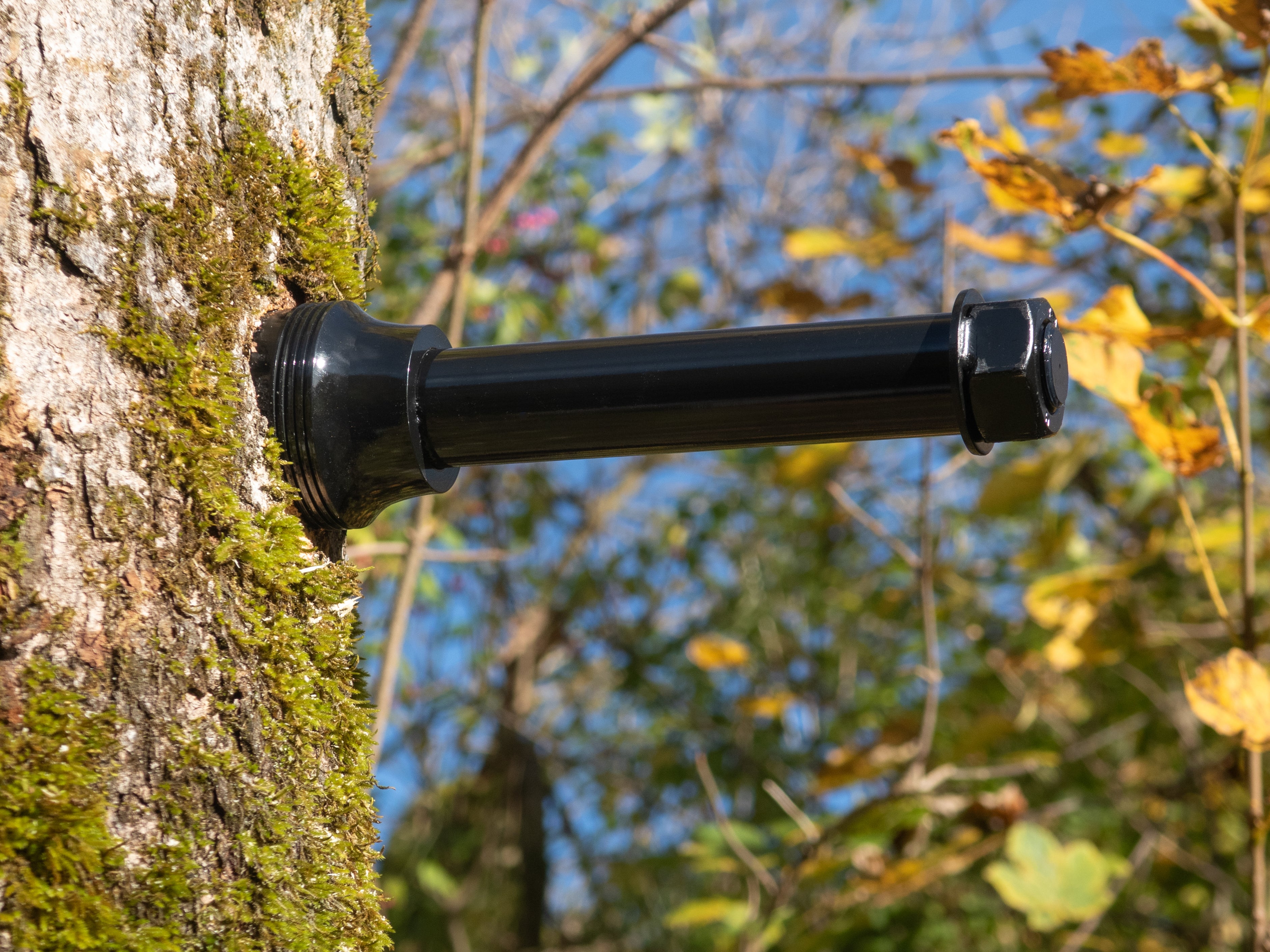 treehouse bolt screwed into living tree