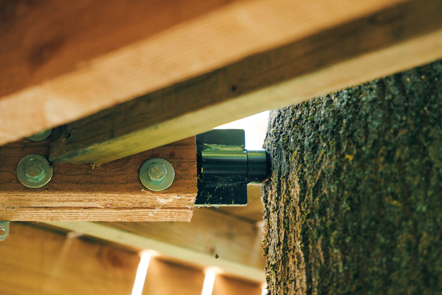 Baumhaus selber befestigen – Spezialschraube GTS Side – Clevere Befestigung für seitliche Holzbalken am Baum DIY richtige Hardware Fachhandel
