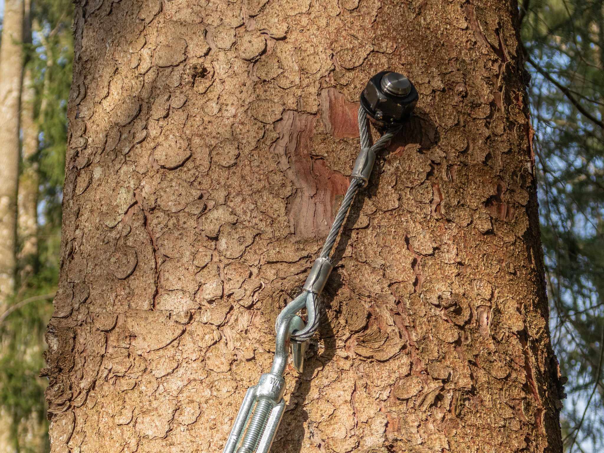 GTS Safety – Baumschraube bis 1.100 kg Tragkraft
