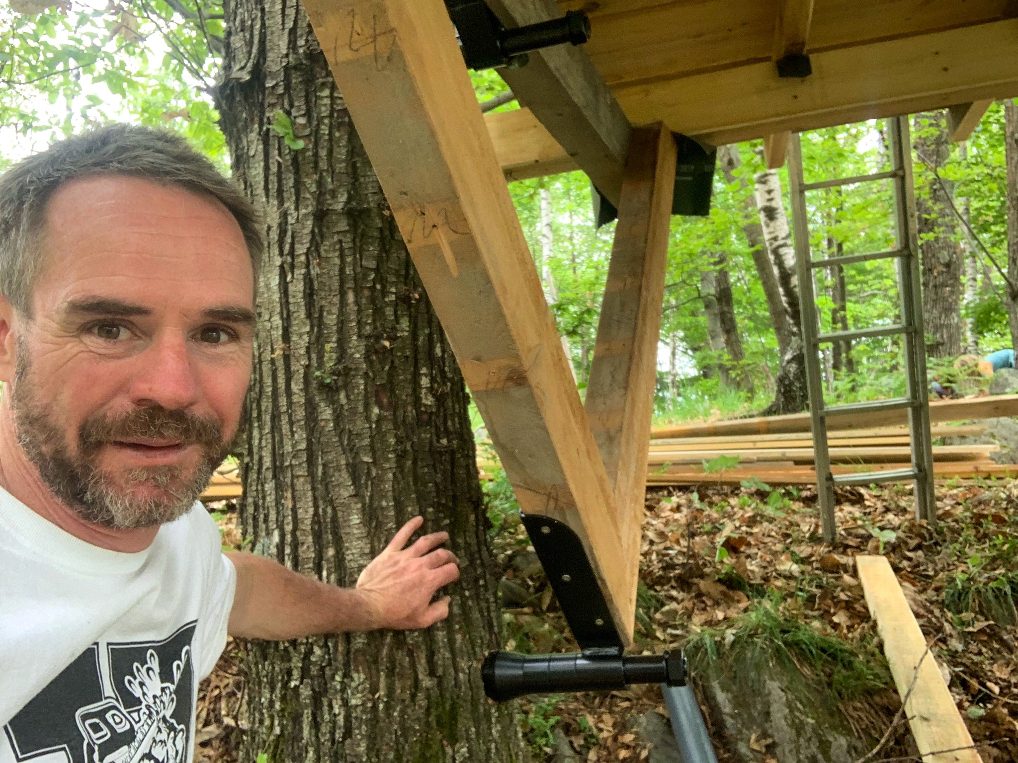 GTS Allstar – Baumschraube bis 3.800 kg Tragkraft