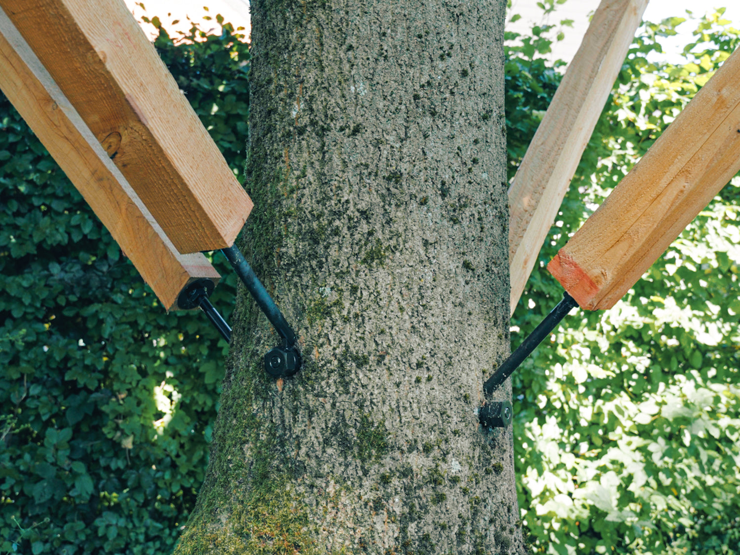 Baumhaus befestigen Anleitung – richtige Hardware Baumschrauben kaufen Wie man eine Holzbalkenhalterung an einem lebenden Baum befestigt